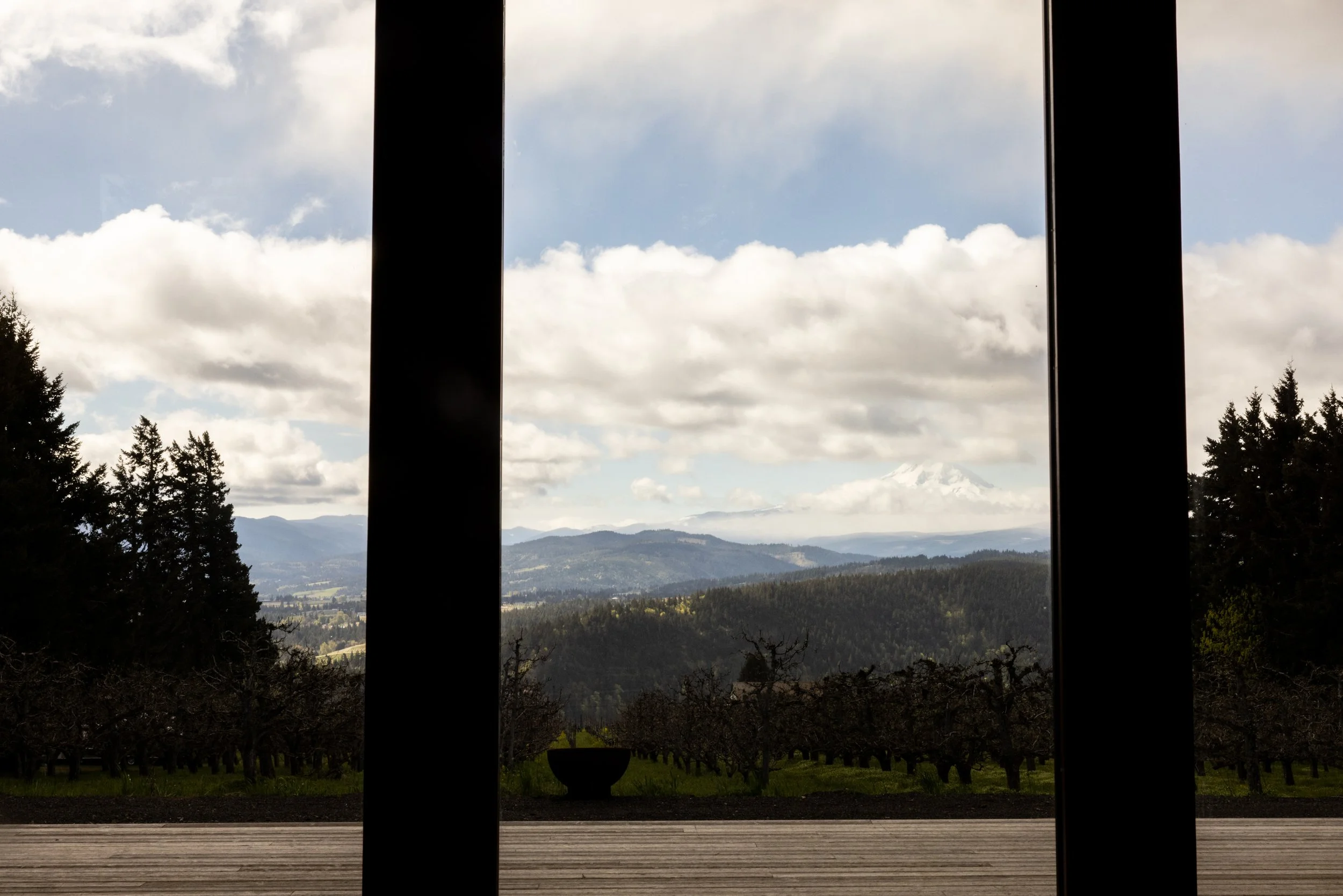View through large glass doors of an expansive landscape with trees, mountains, and a cloudy sky in the distance.