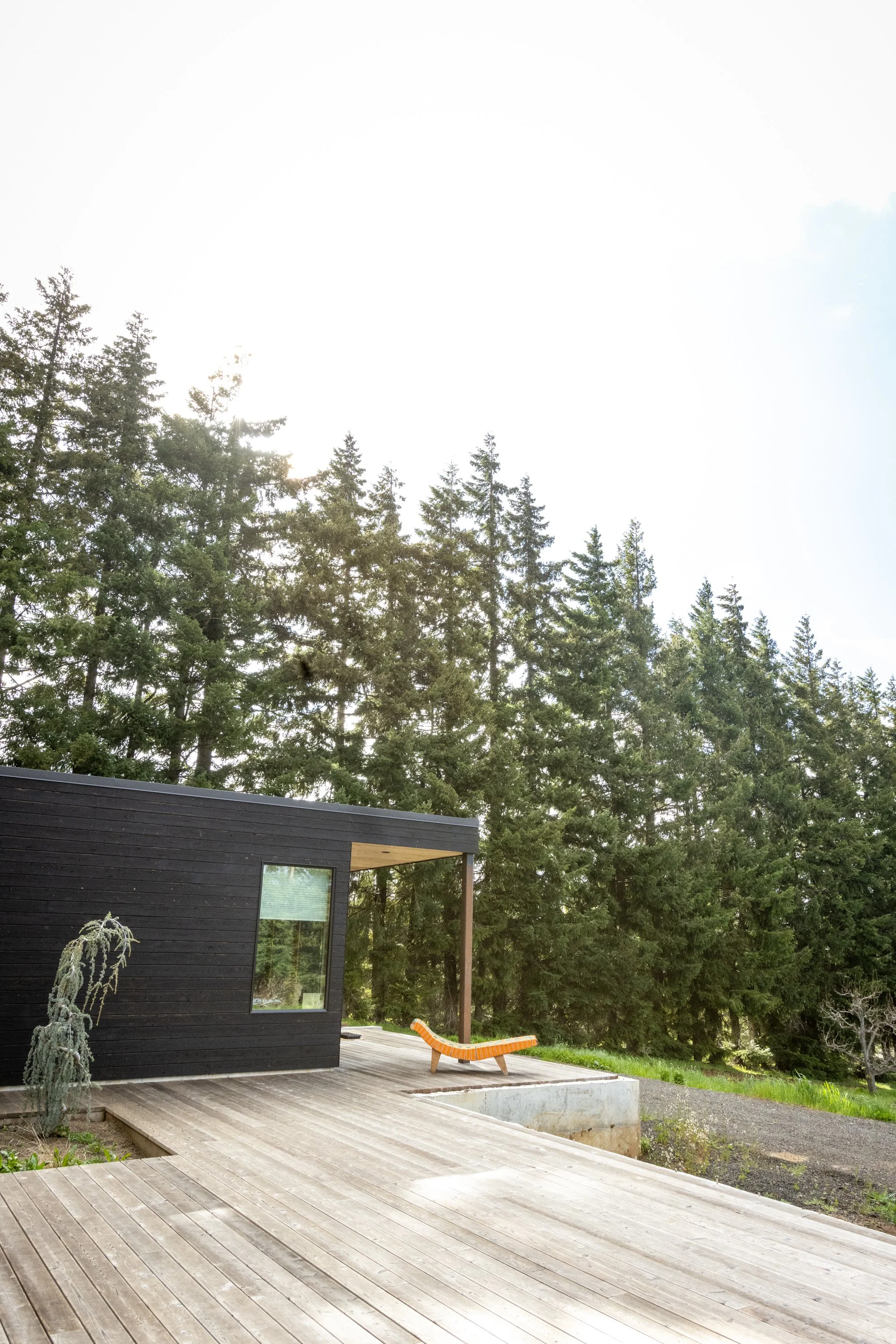 Modern black house with large window and wooden deck, surrounded by tall evergreen trees and a bright sky.