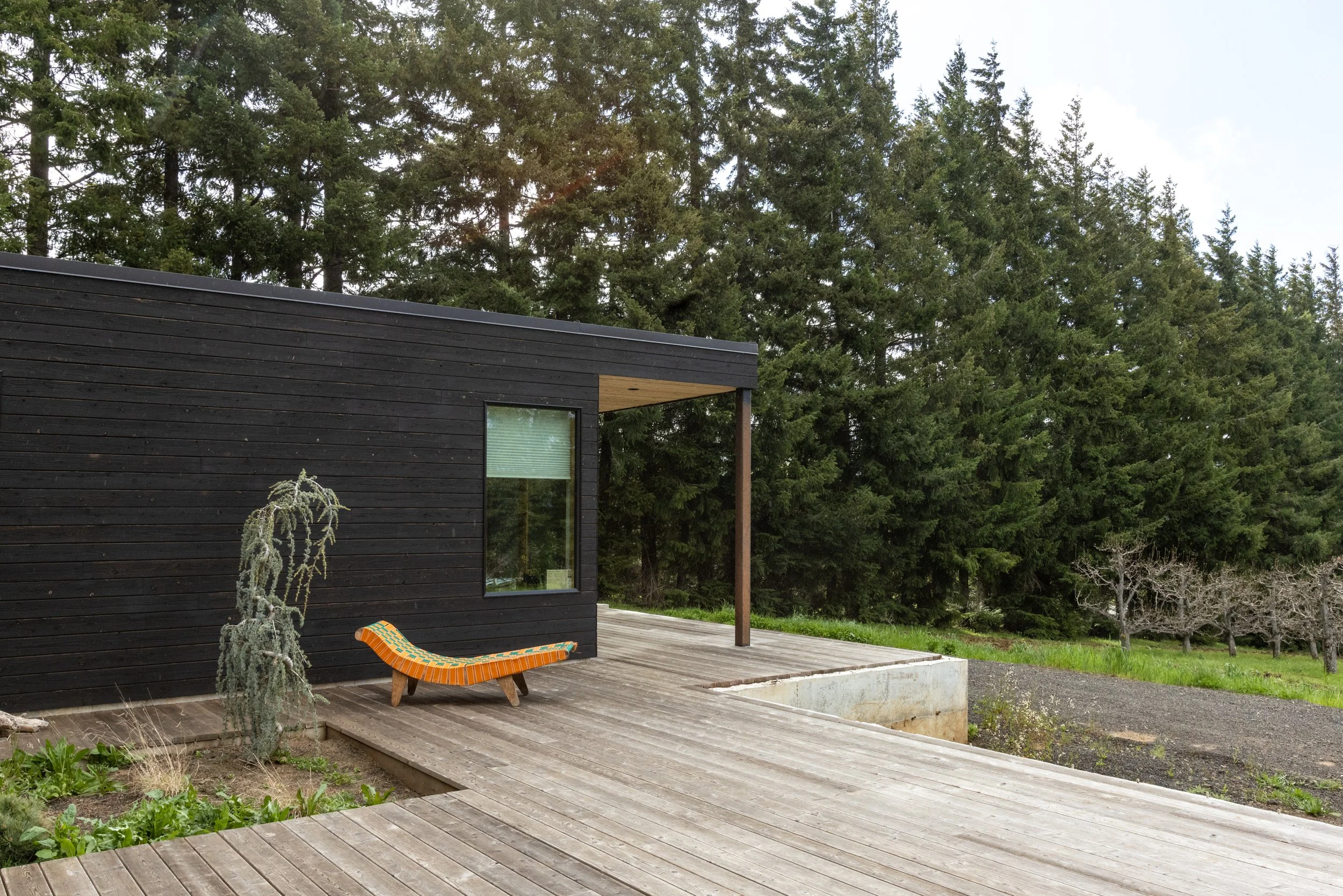Modern black house with wooden deck, colorful lounge chair, plants, and surrounded by tall evergreen trees.