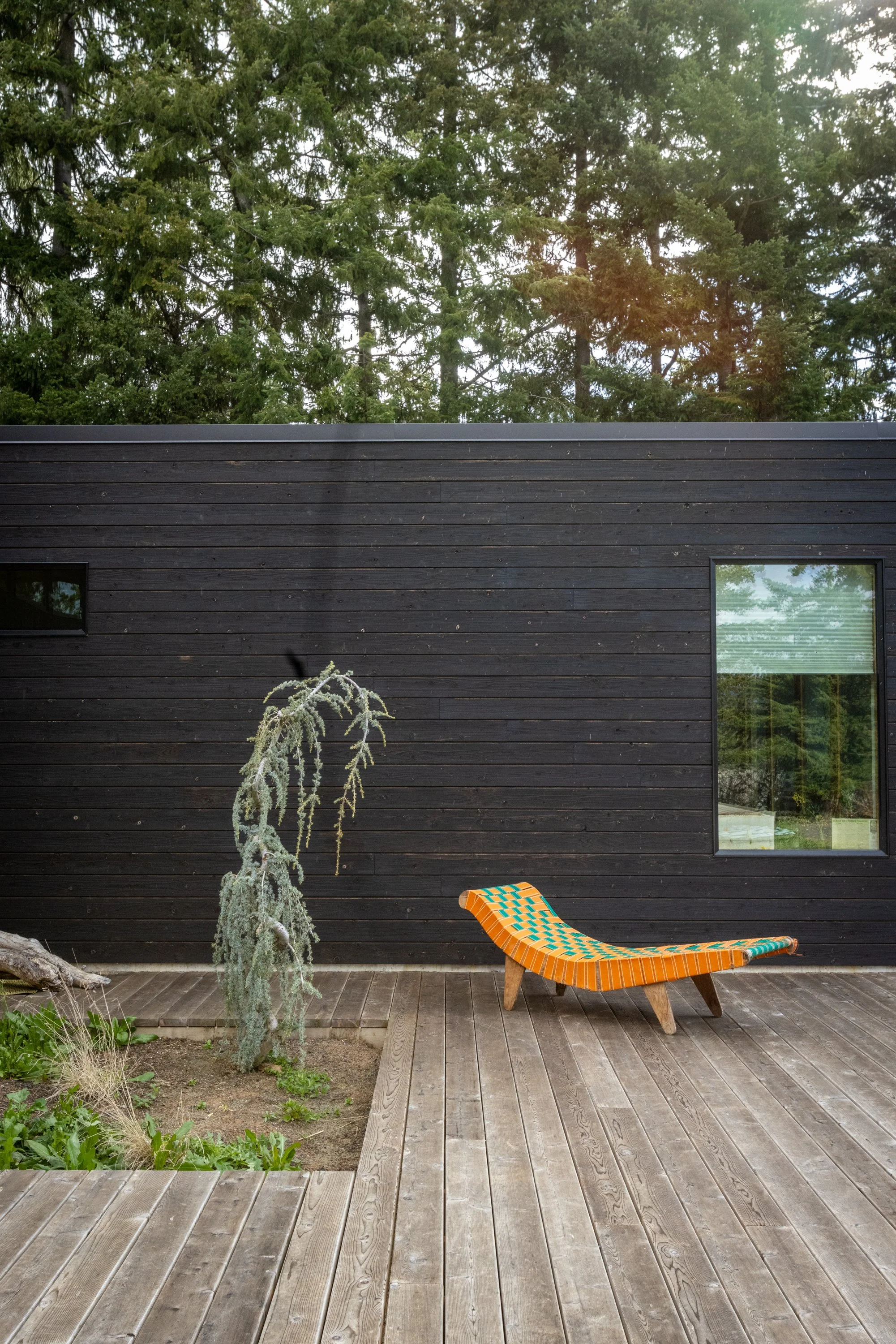 An outdoor patio with wooden deck paving, a black modern house wall with a window, a lounge chair with orange and green checkered fabric, a small tree with a curled trunk, and a large green leafy tree in the background.