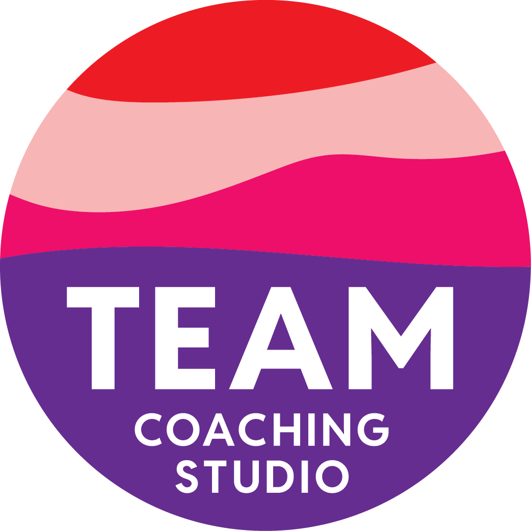 Team Coaching Studio