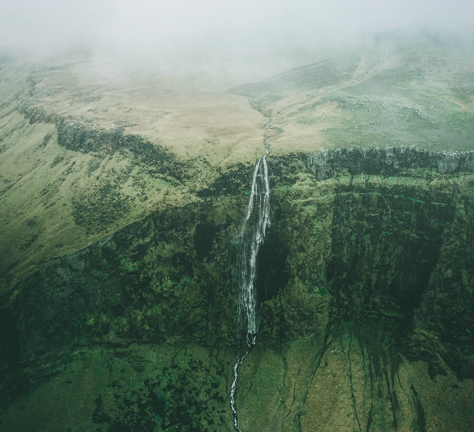 The Role of Systems Thinking in Coaching 'Liquid Teams'