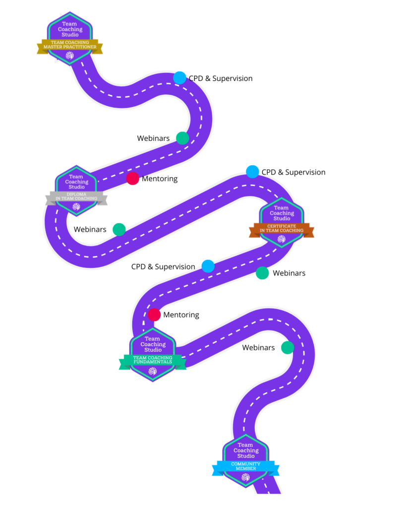 Getting Professional Accreditation as a Team Coach