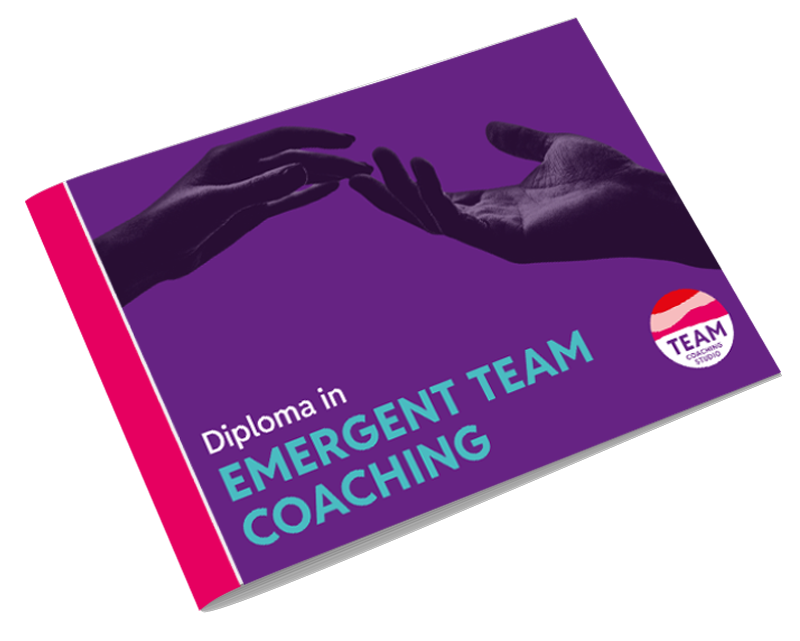 The Diploma in Emergent Team Coaching - brochure
