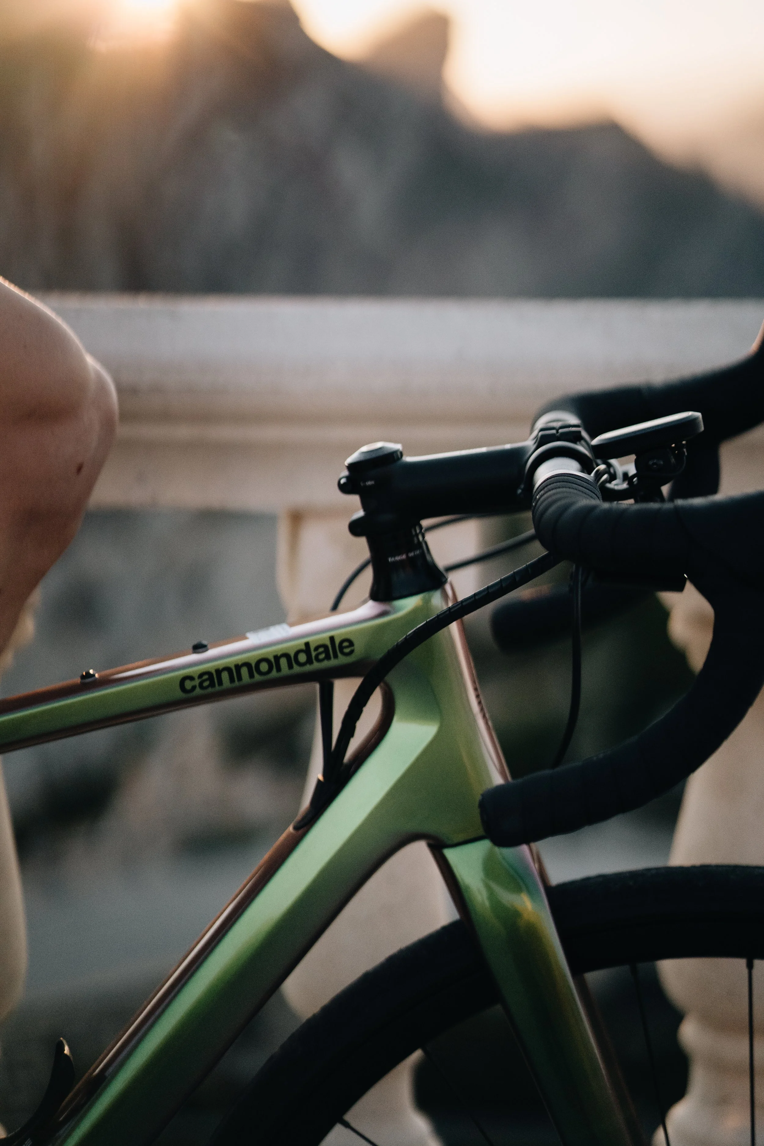 Cannondale Synapse-03598.jpg