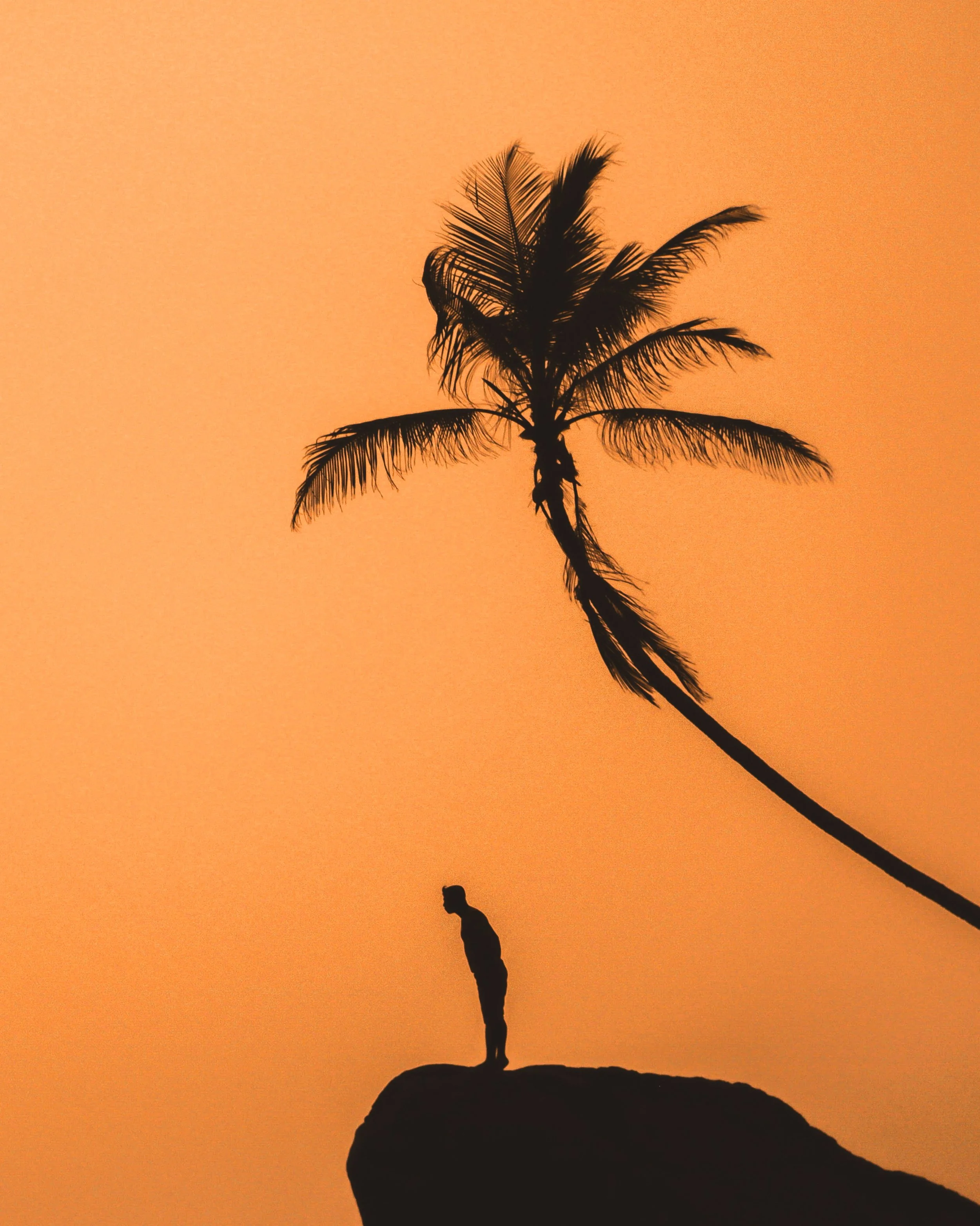 001-Talisman C9604.jpg