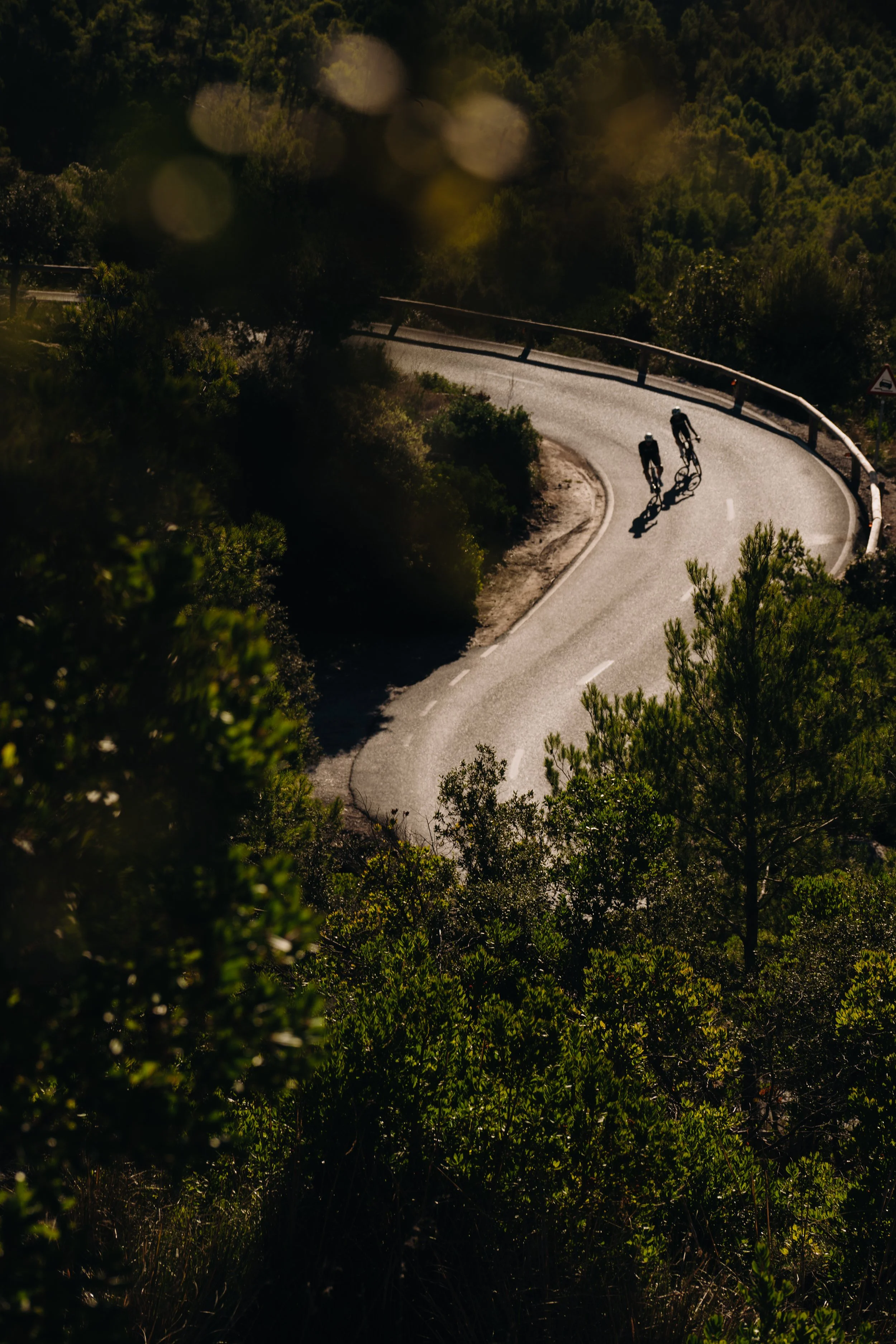 PAS Winter Drop 2025-020.jpg