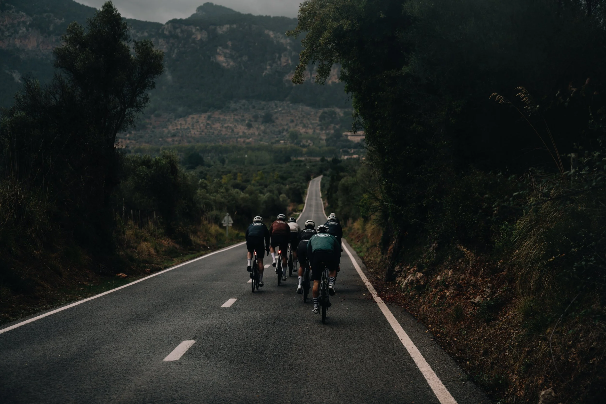 137-PNS Island Loop 202504824.jpg