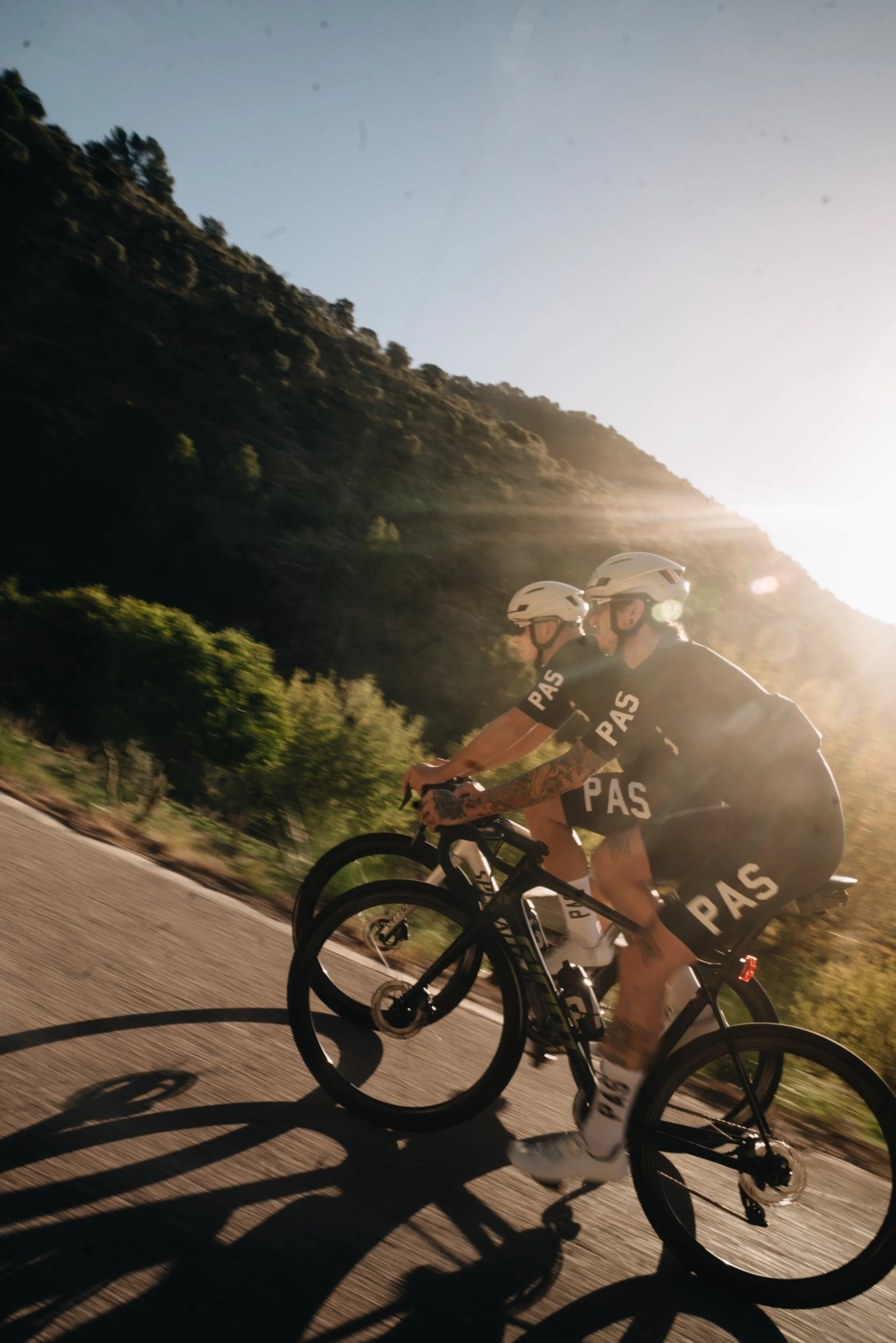 PAS Winter Drop 2025-002.jpg