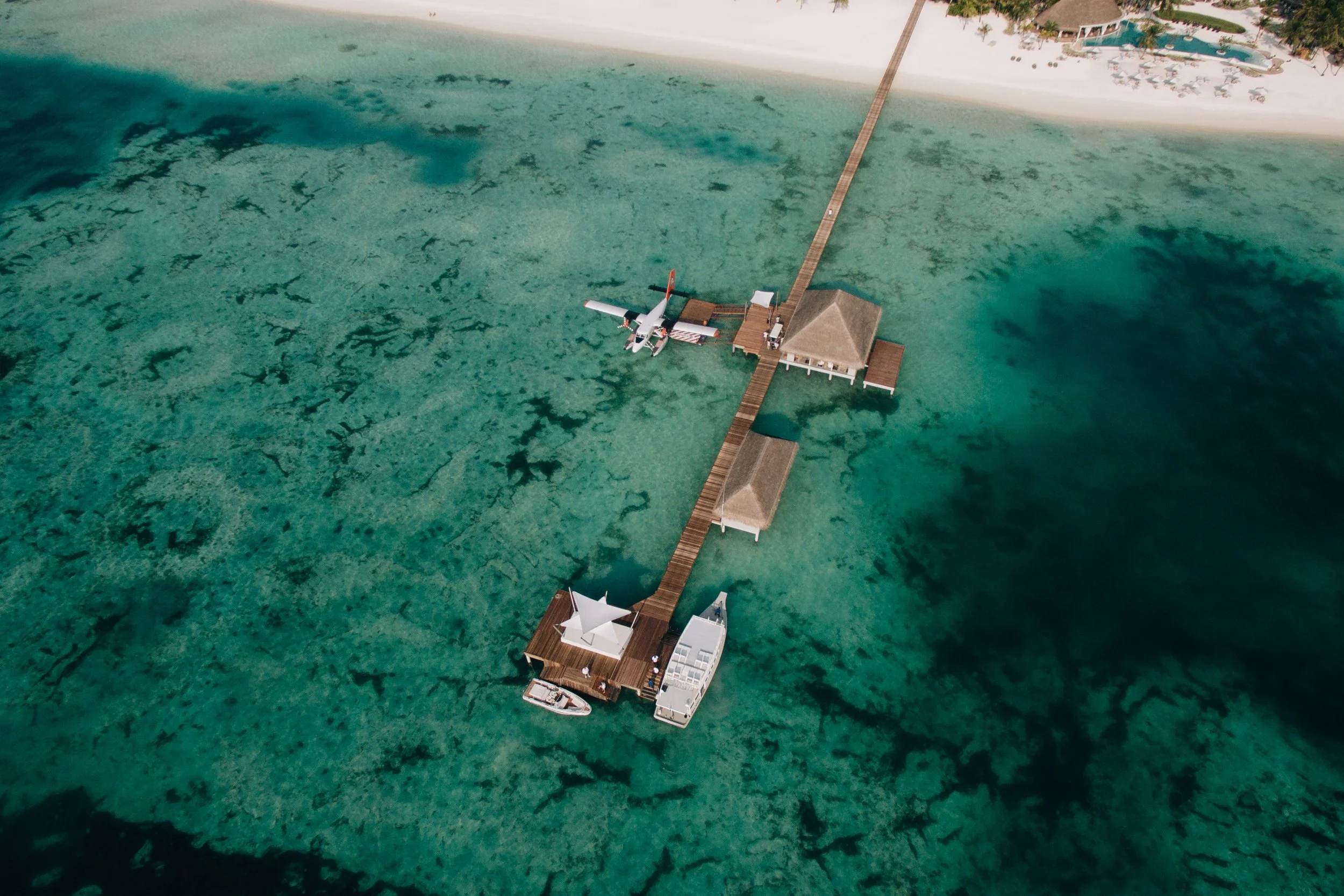 001-Talisman C0051.jpg