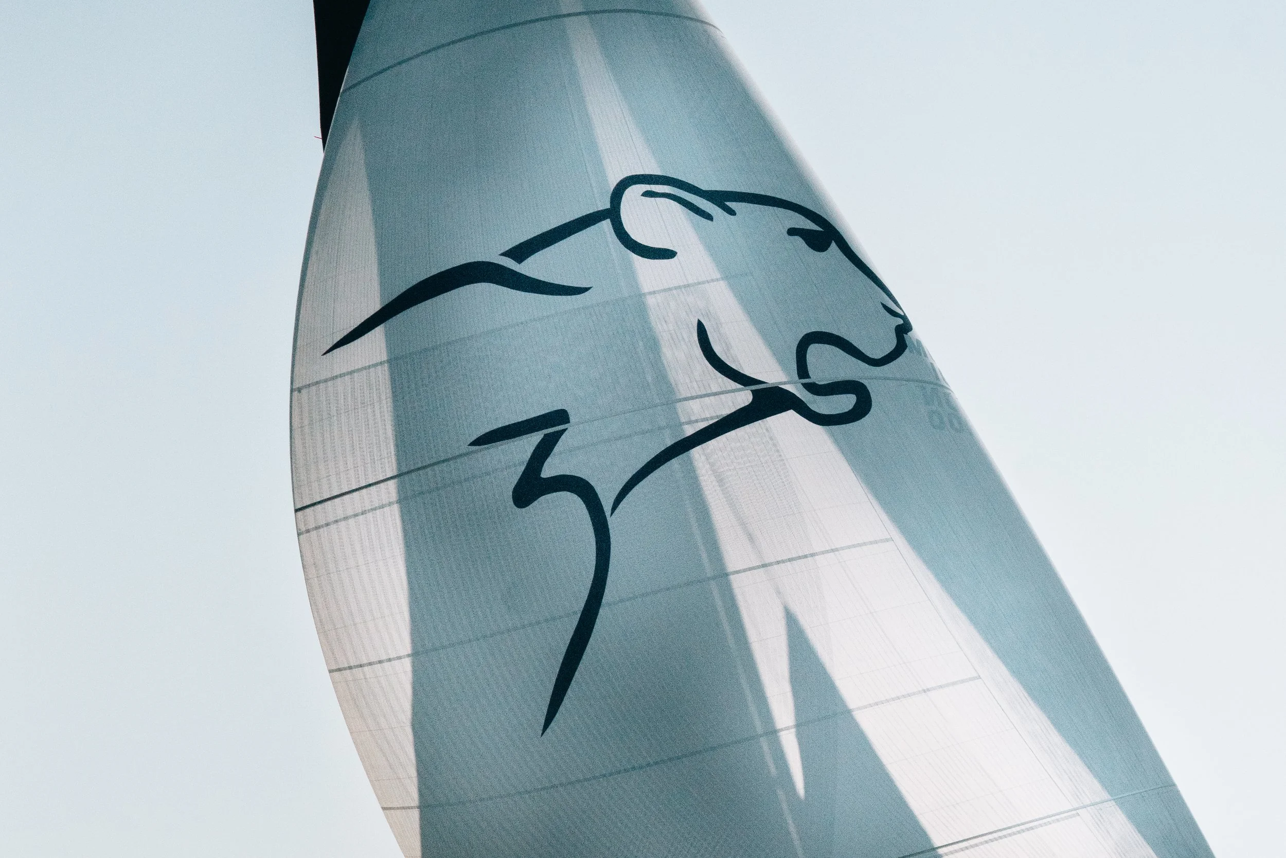 014-Leopard 3 - Maxi Yacht Palma Vella 07986.jpg