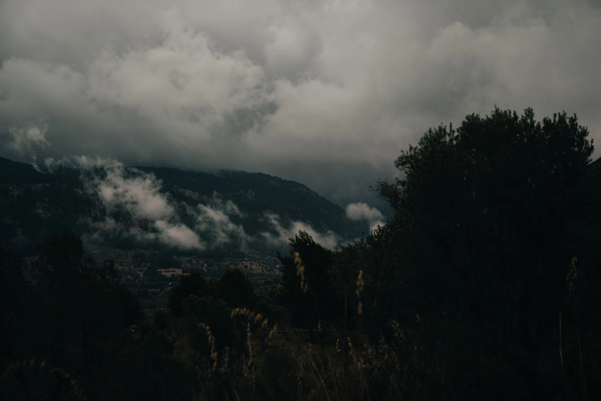 135-PNS Island Loop 202504813.jpg