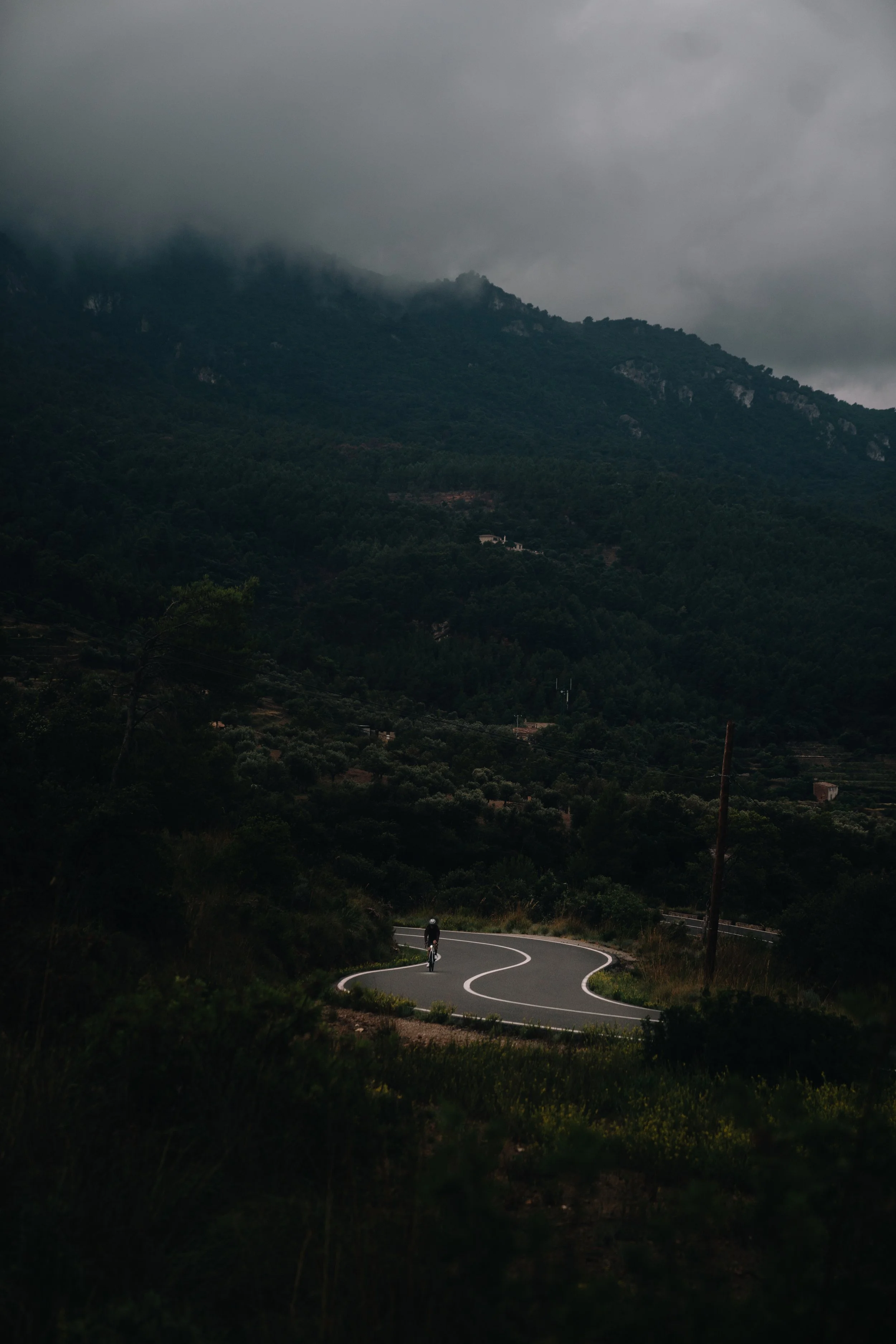 097-PNS Island Loop 202504409.jpg