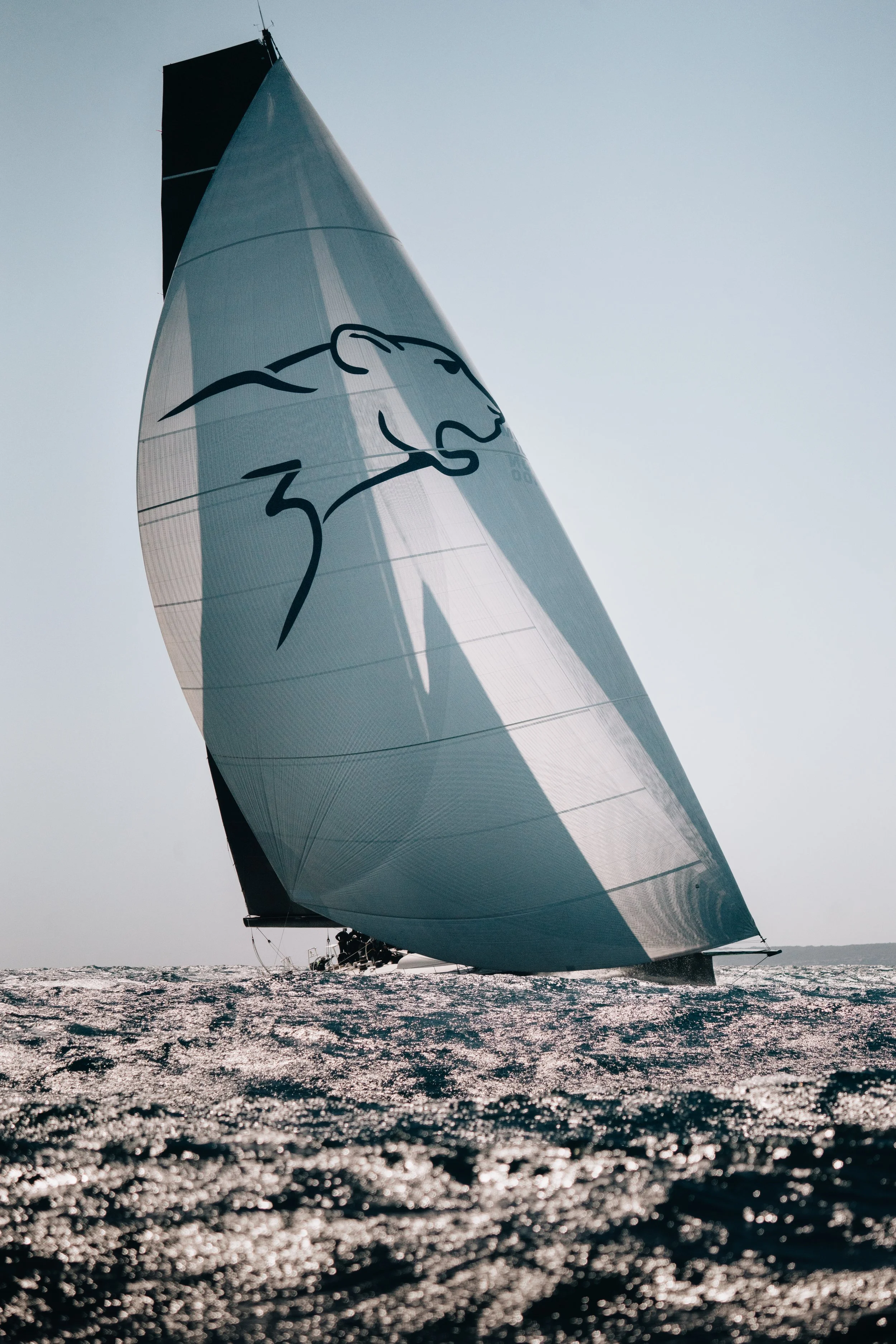 013-Leopard 3 - Maxi Yacht Palma Vella 07985.jpg