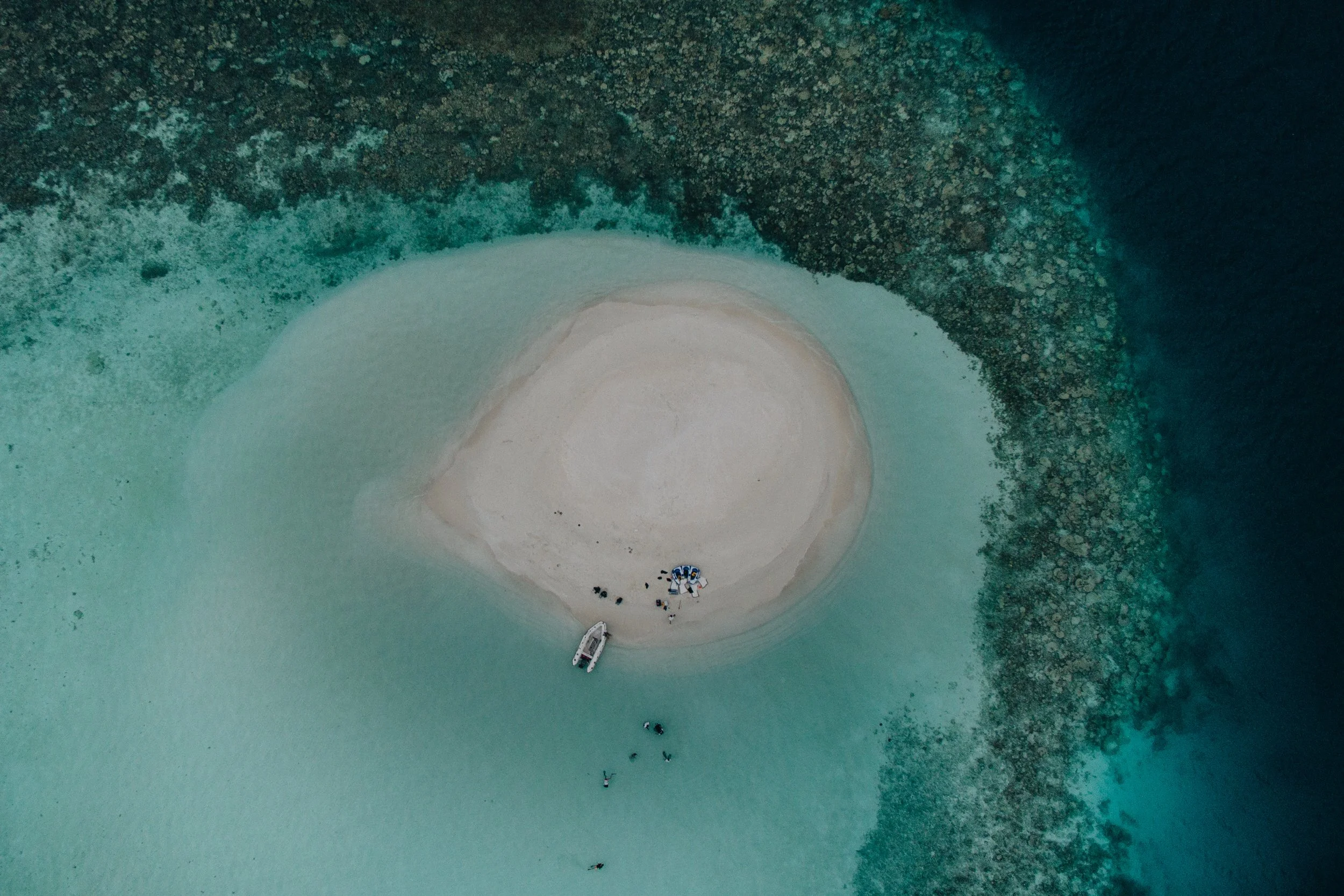 003-Talisman C0017.jpg