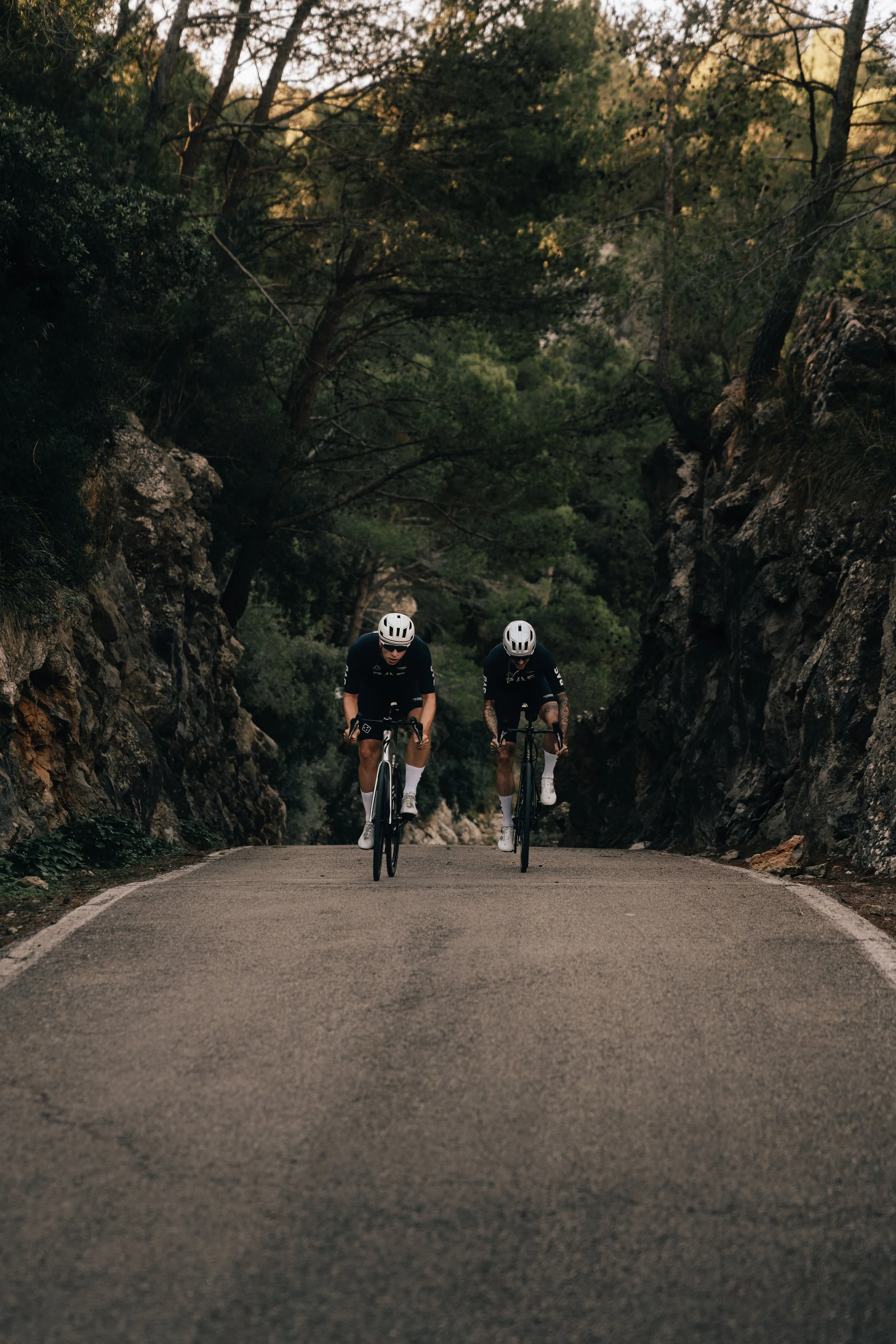 005-PAS winter drop05684.jpg