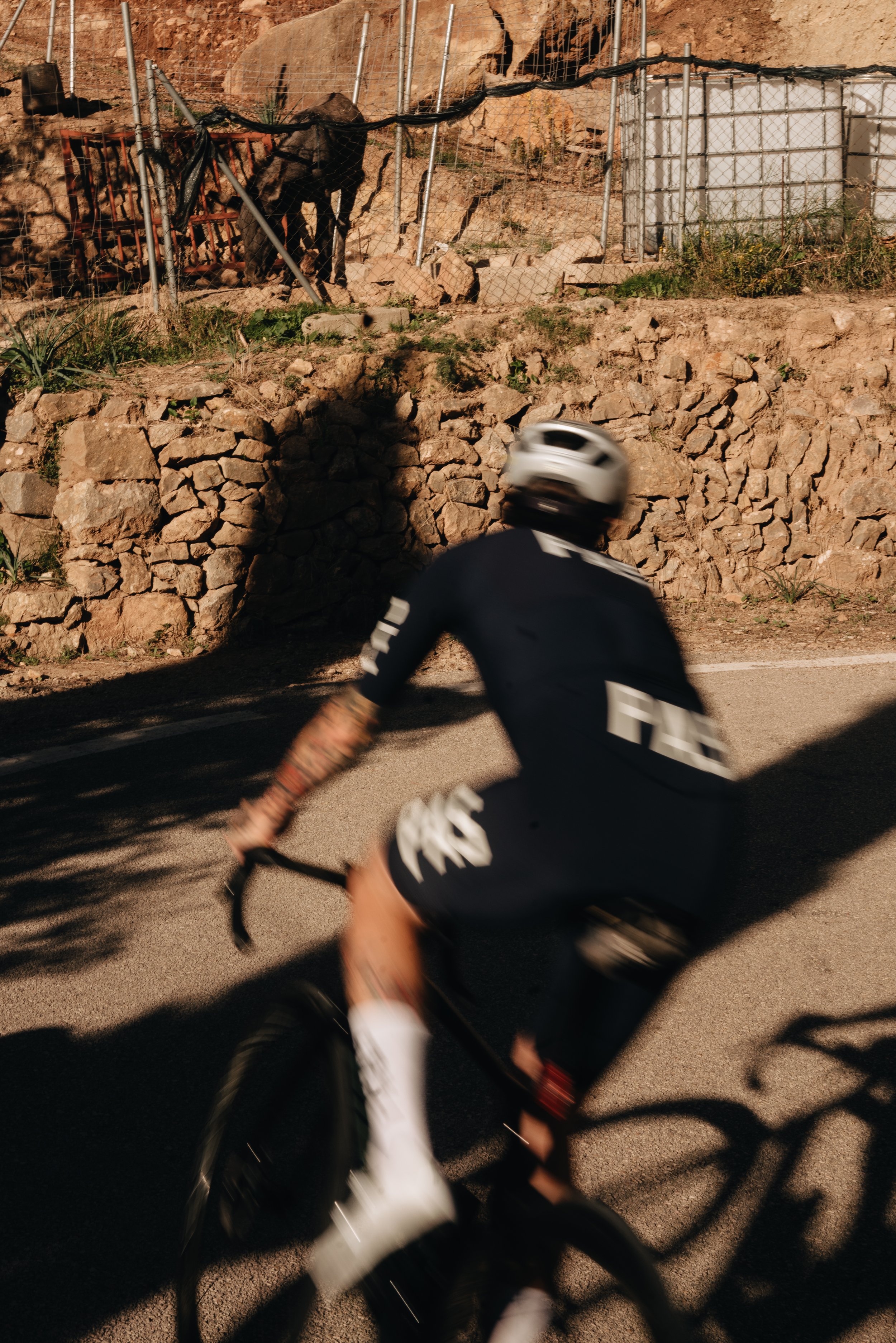 PAS Winter Drop 2025-003.jpg