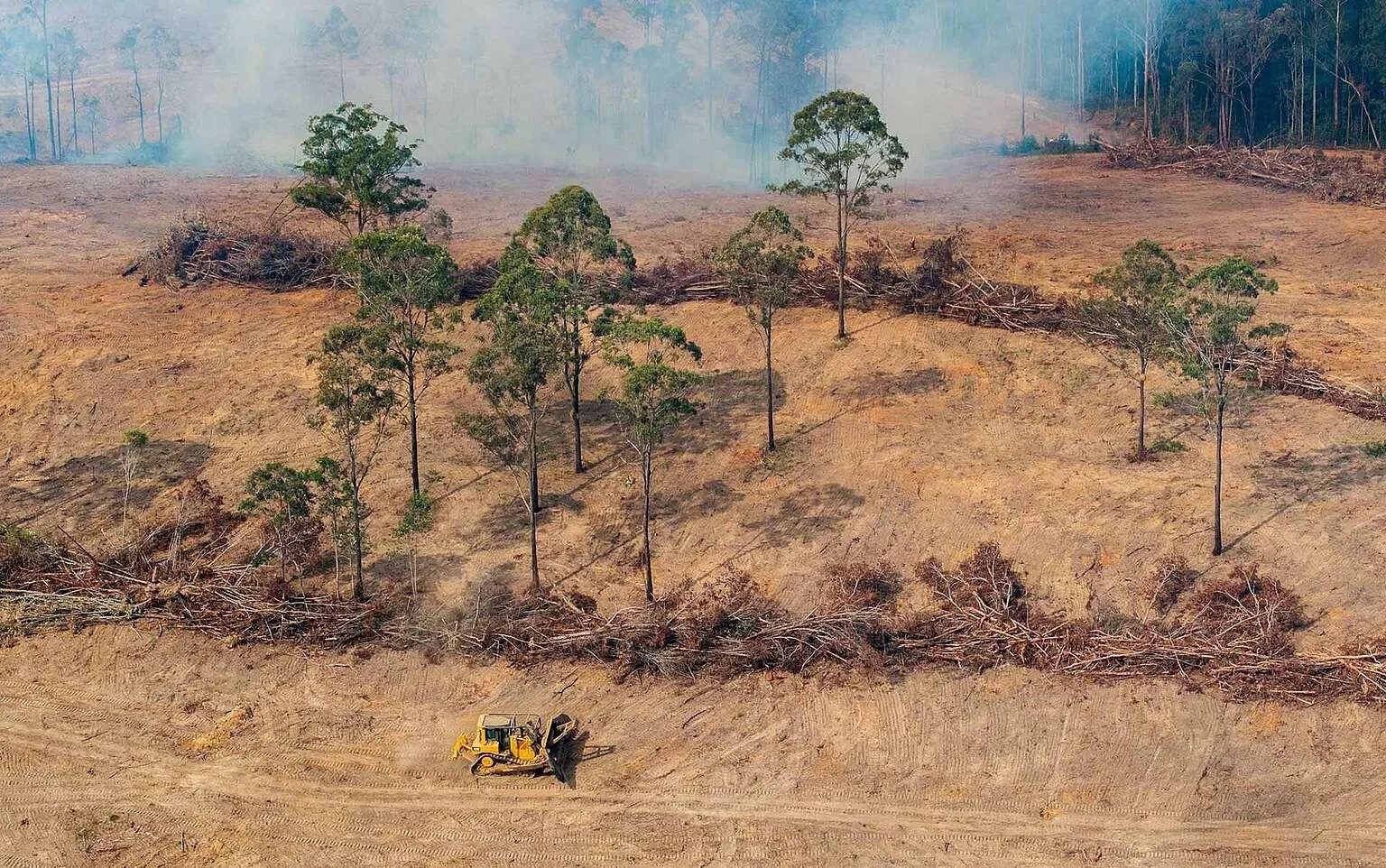 Debris and fallen trees on a hillside with some standing trees, and a bulldozer in the foreground clearing dirt.