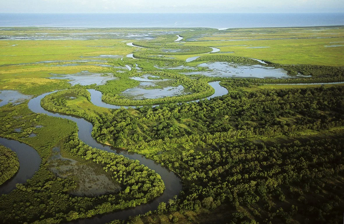 Serpentine River Section 2, Mitchell River Delta, CYP cps.jpg