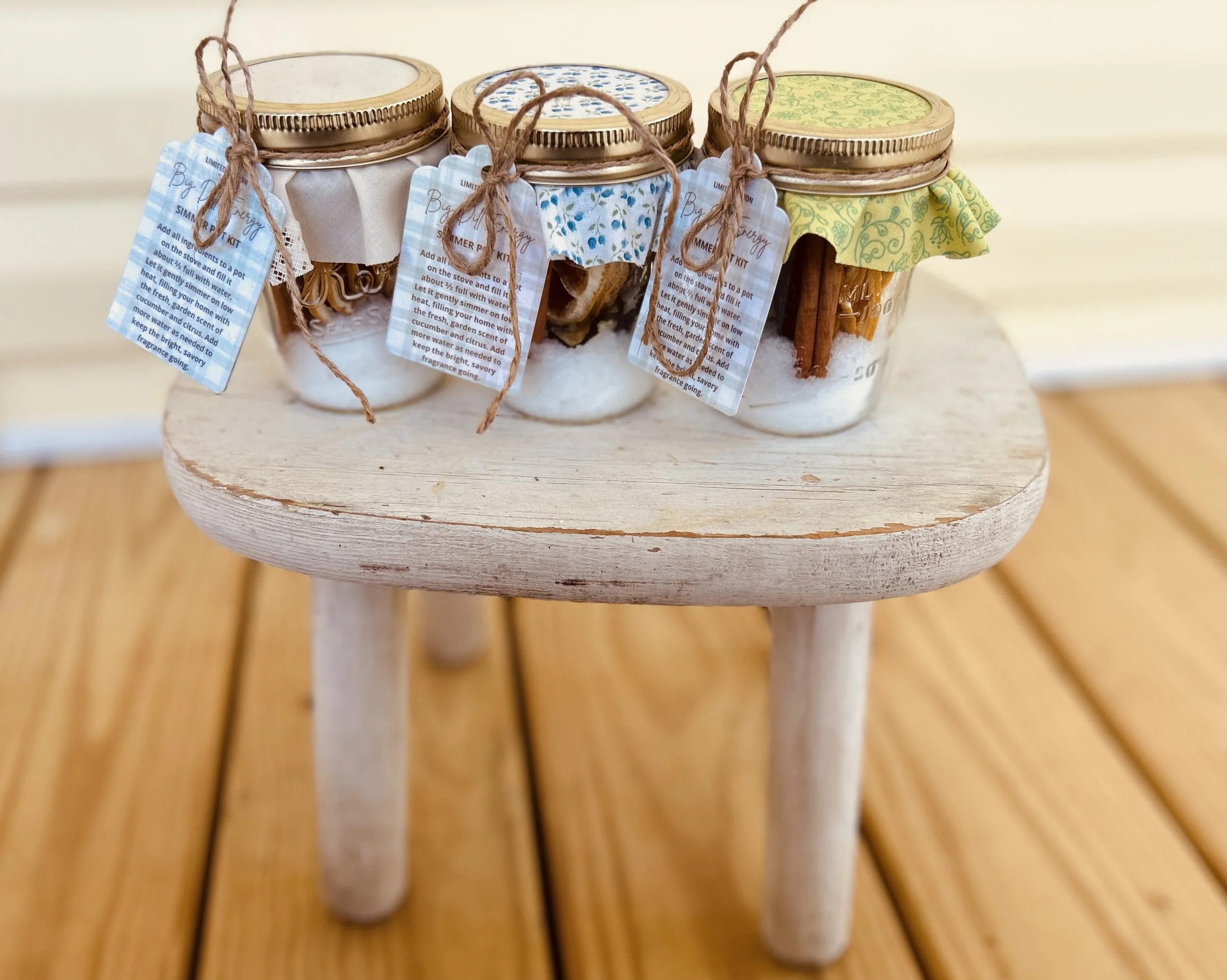 Limited Edition Simmer Pot Kit | Scent: Fresh Big Dill Energy | Multiple Styles