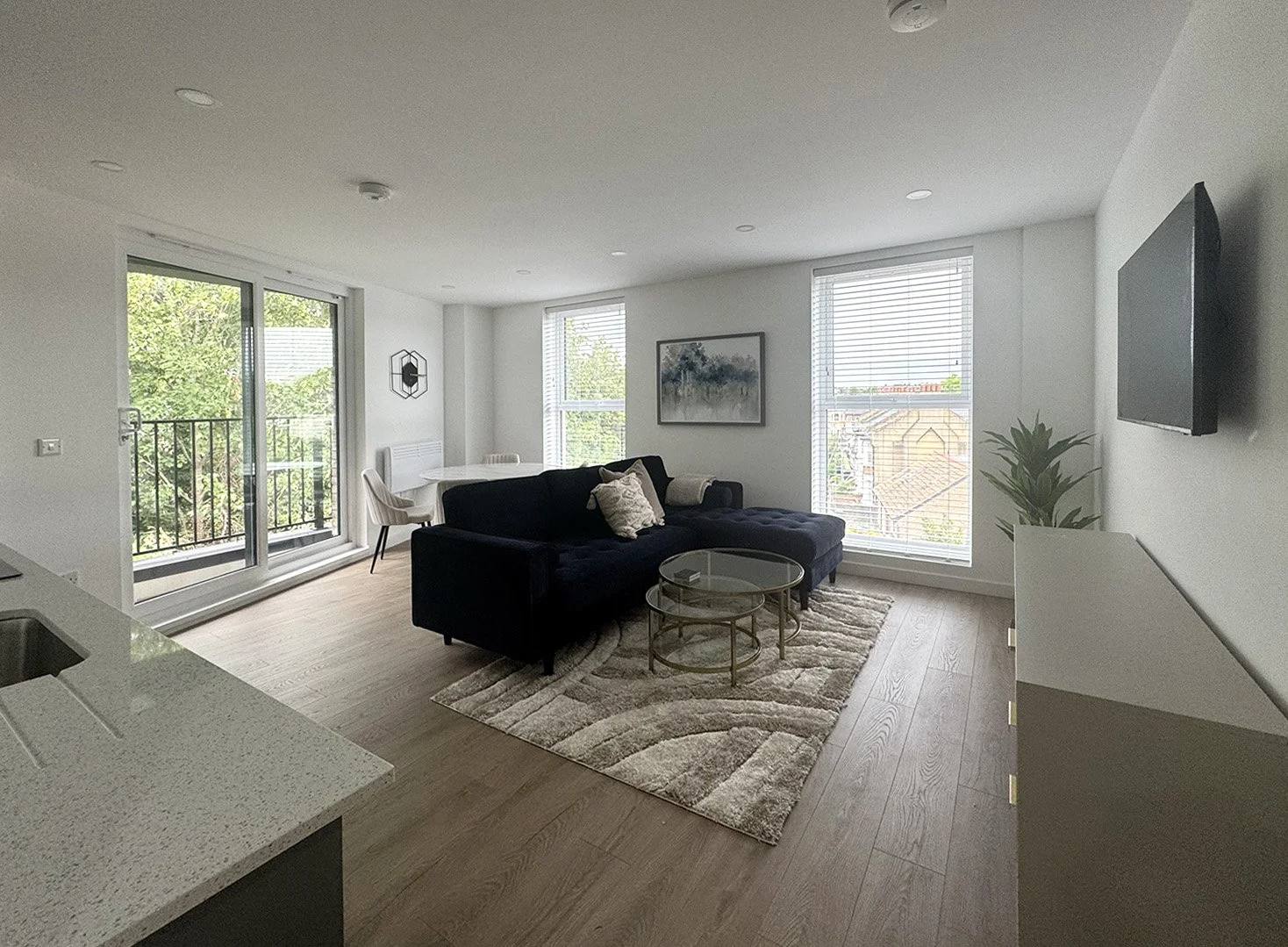 Halcyon House_kitchen living.jpeg