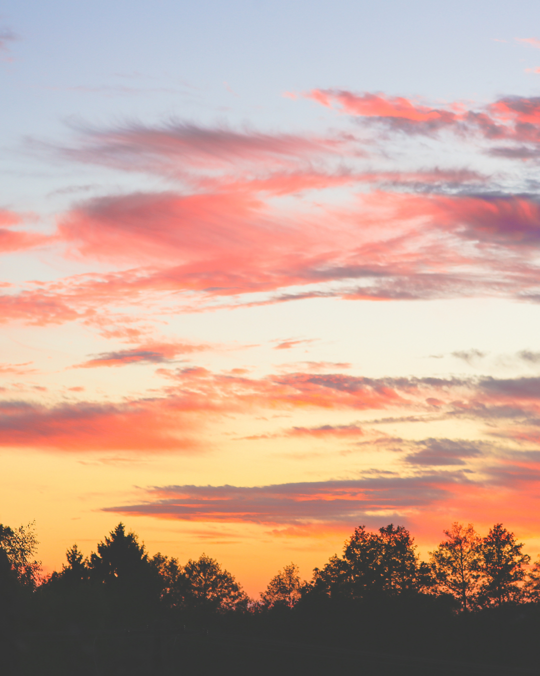 Transit. reading