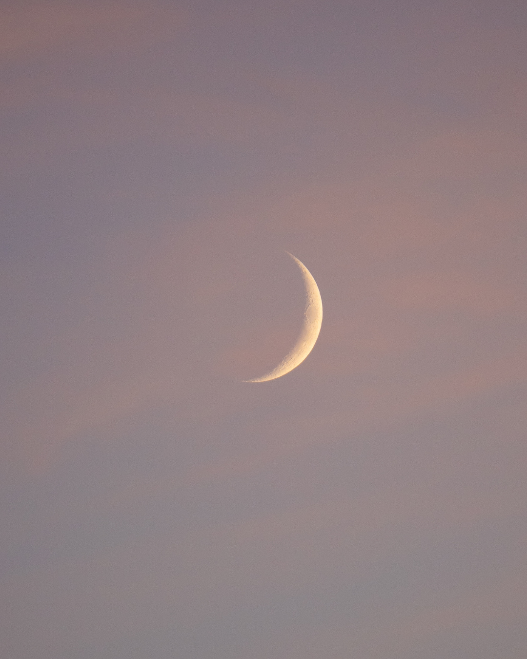 Standard Birth Chart reading