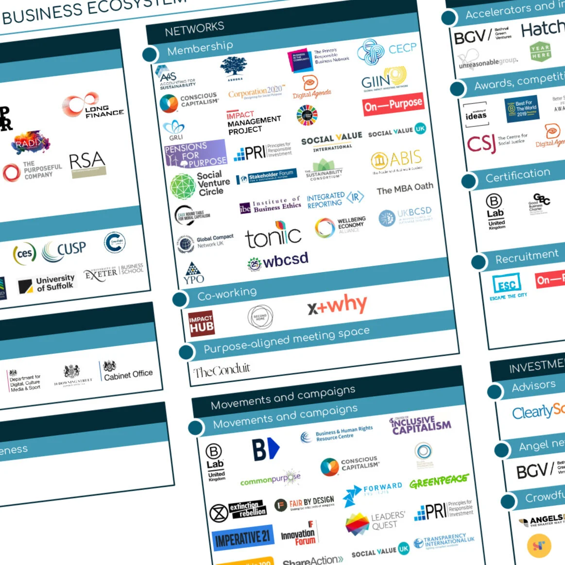 Launch of the purpose-driven business ecosystem map