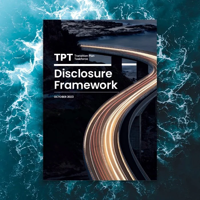 The Role and Impact of the Transition Plan Taskforce in UK Net Zero Disclosures
