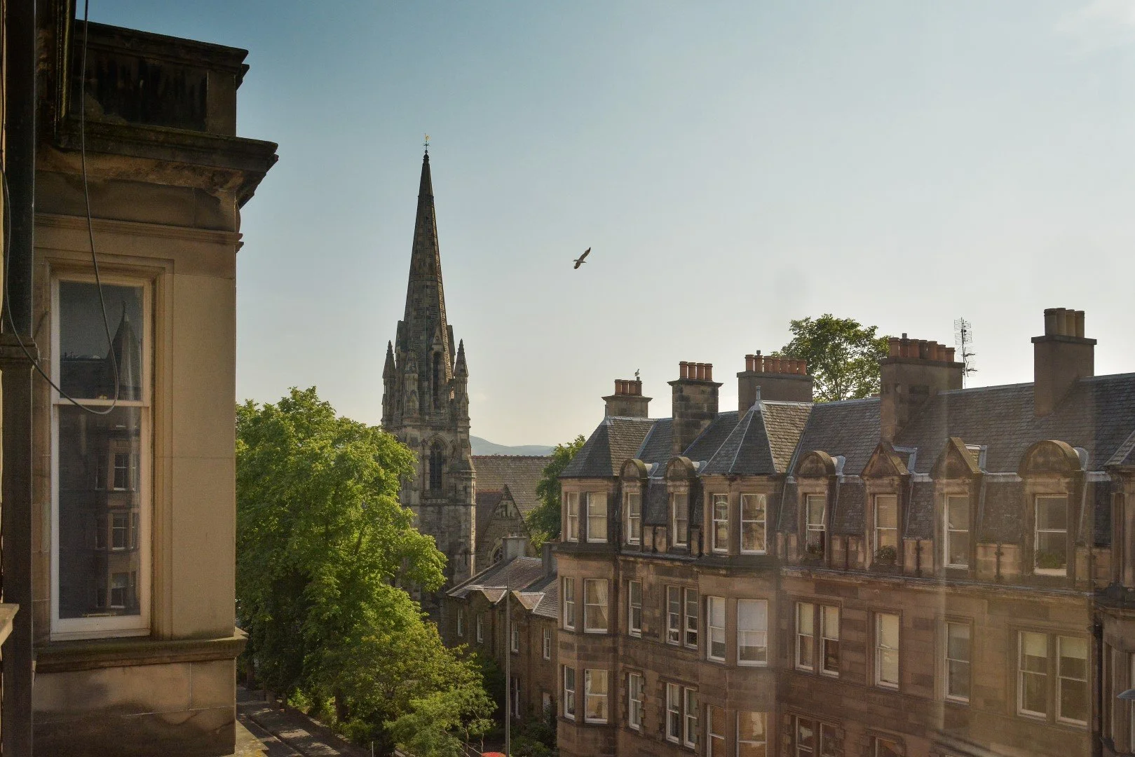 View of historic European-style buildings with a church steeple in the background and a bird flying in the clear sky.