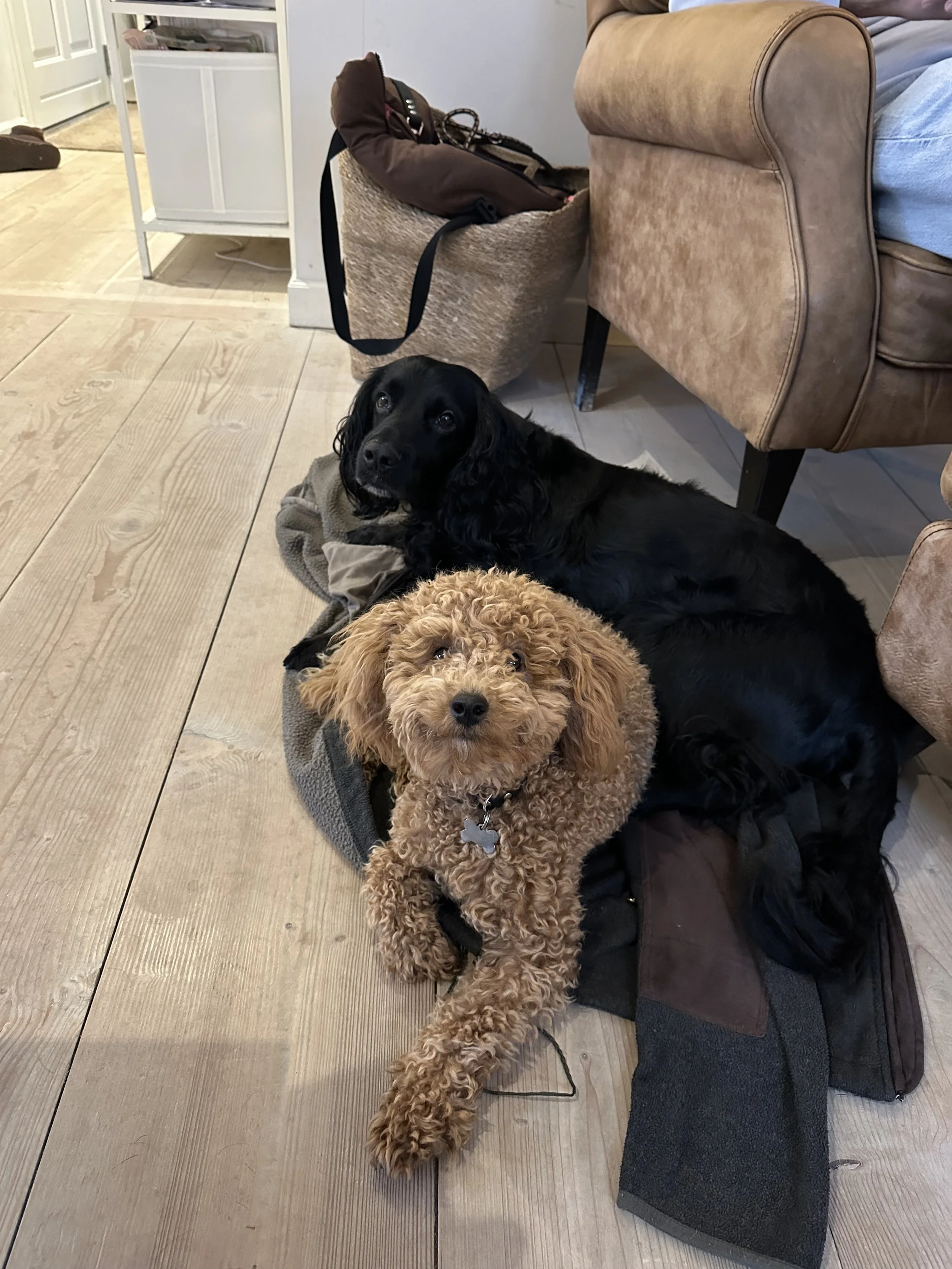 Manu og Tubo deler en jakke