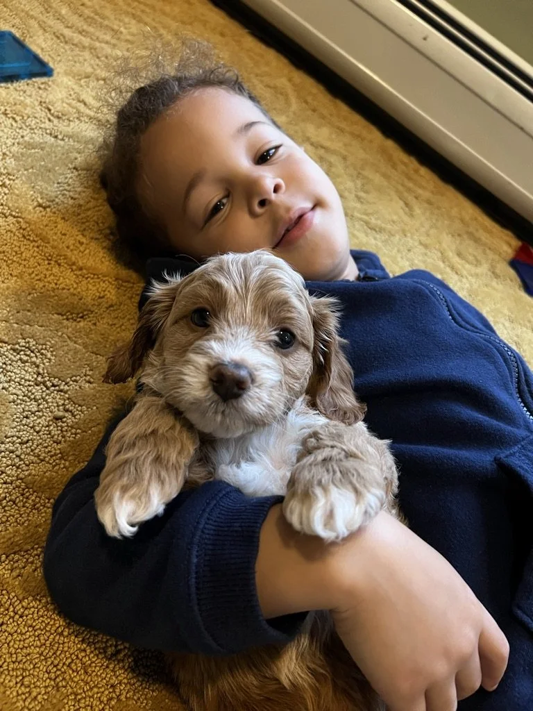 A young child lying on a yellow carpet, holding a small, fluffy puppy.