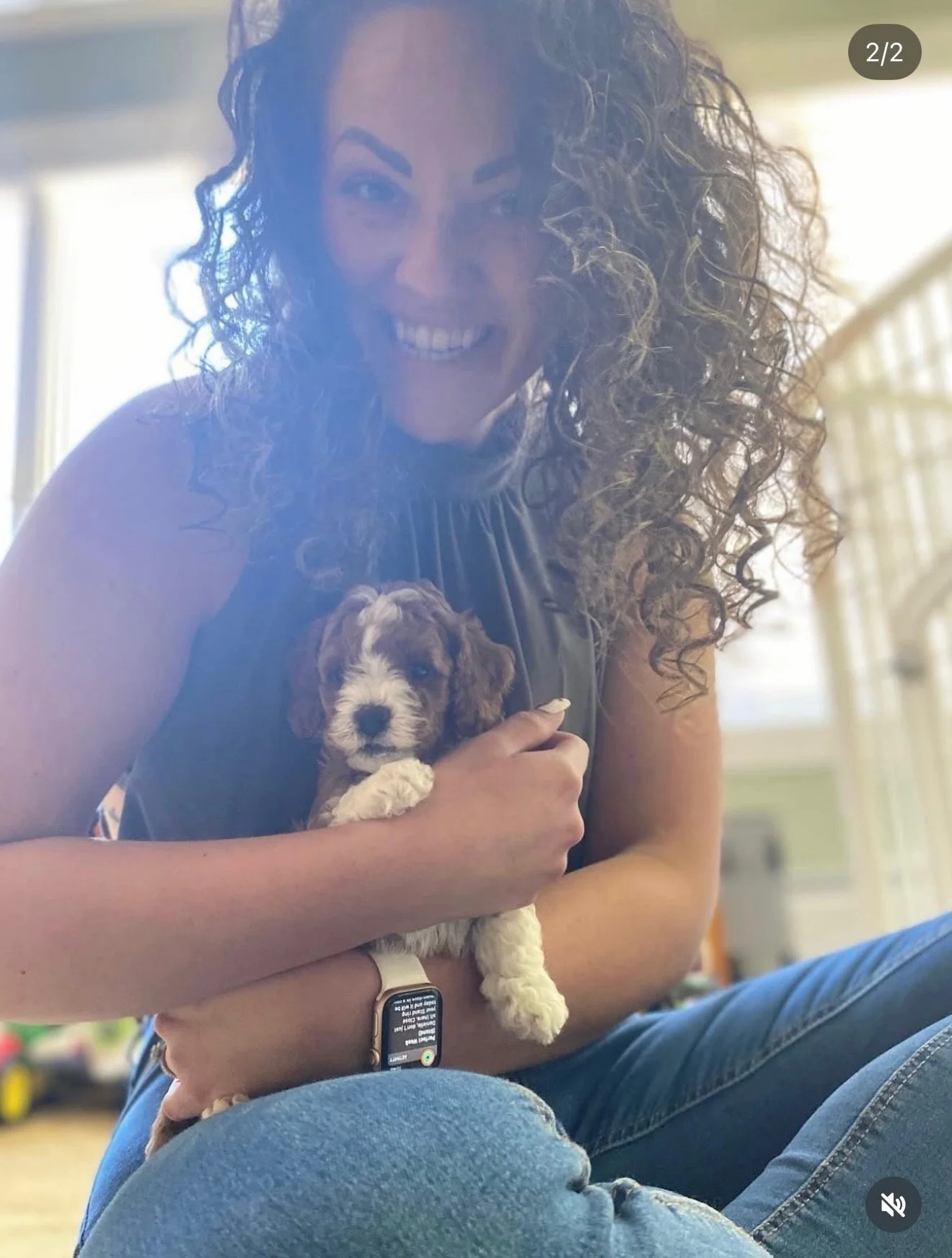 Cavapoo puppy with mom