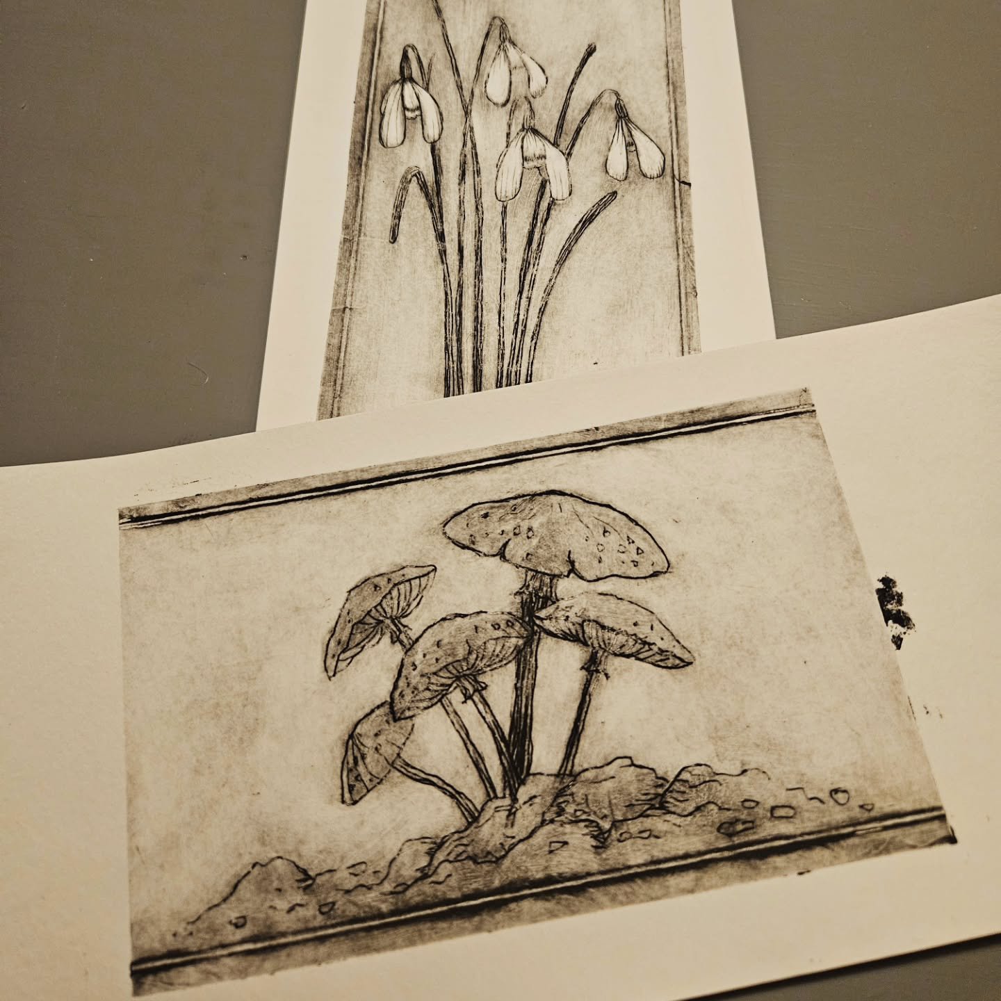 Tetra pak nature prints. Snowdrops and mushrooms. Printed using pasta maker.