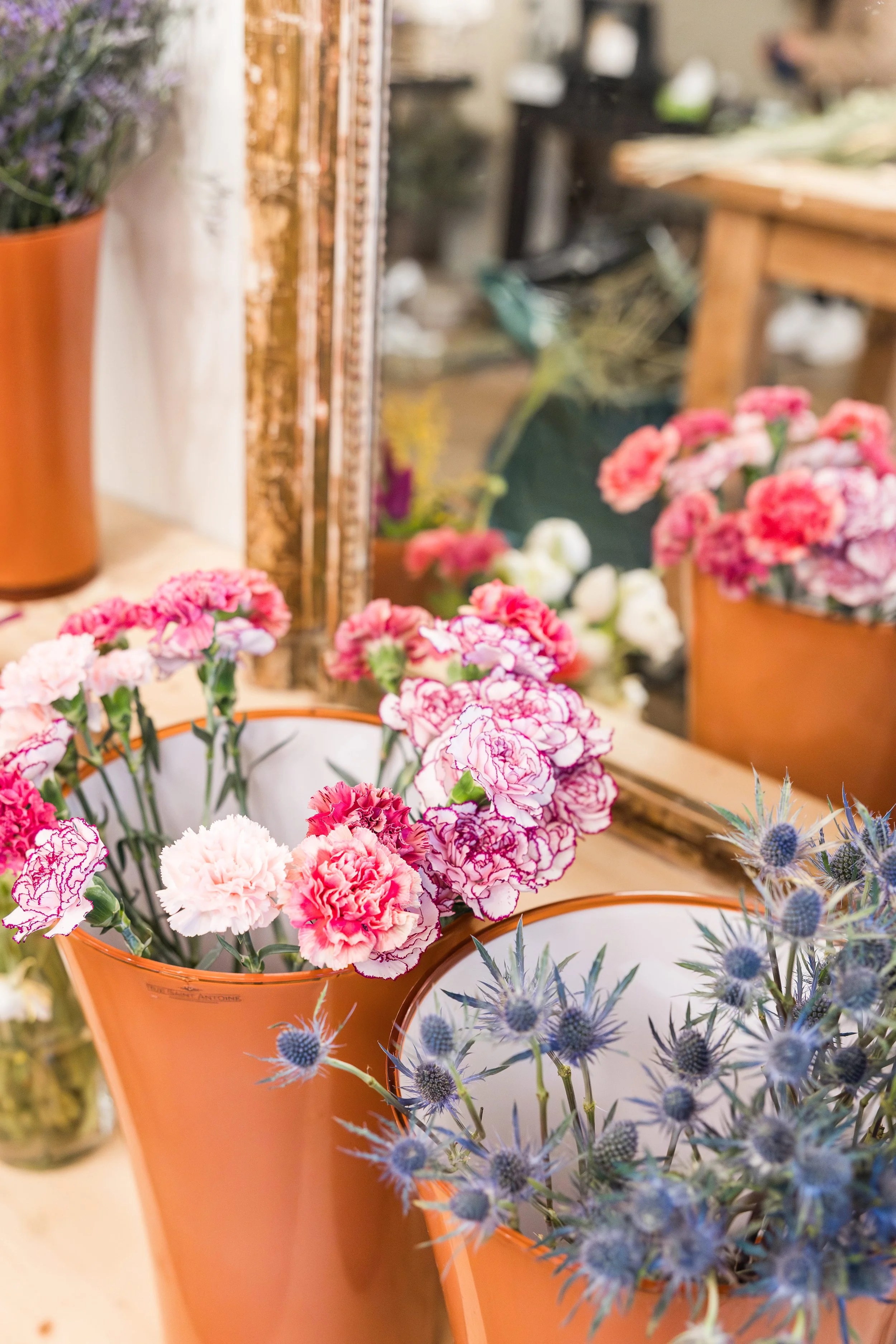 TiaraComteAimeRecevoir - Audrey Photography.jpg