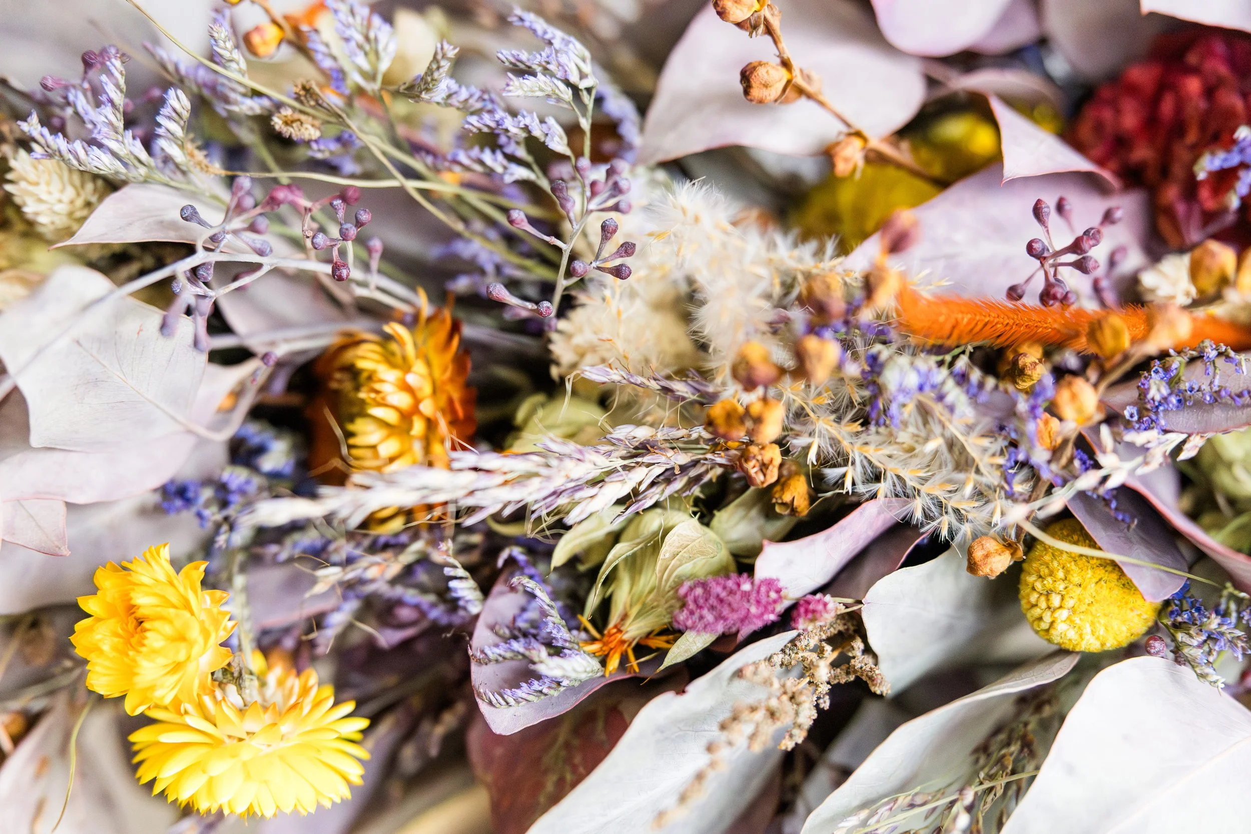 TiaraComteAimeRecevoir - Audrey Photography-35.jpg