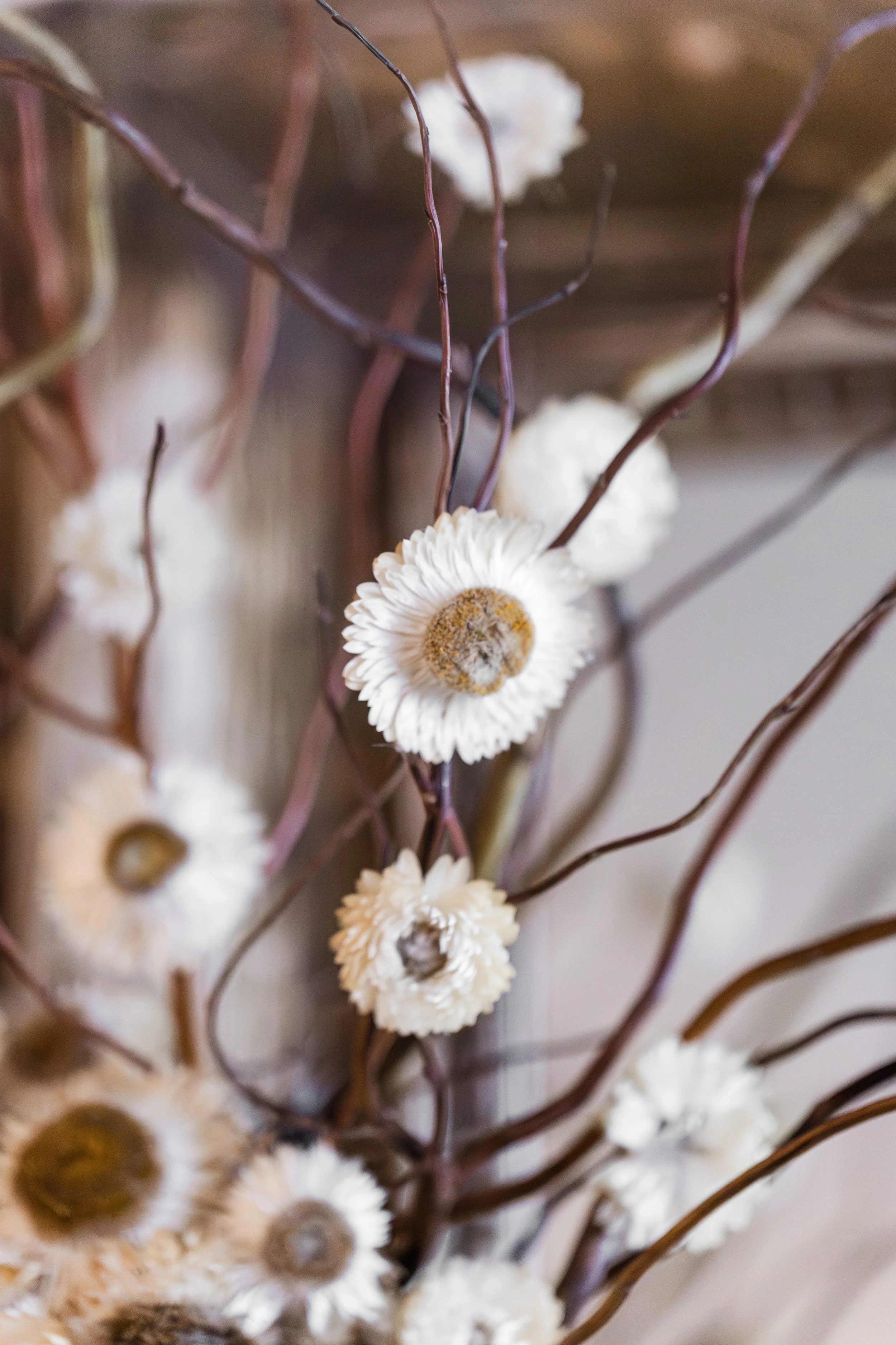 TiaraComteAimeRecevoir - Audrey Photography-99.jpg