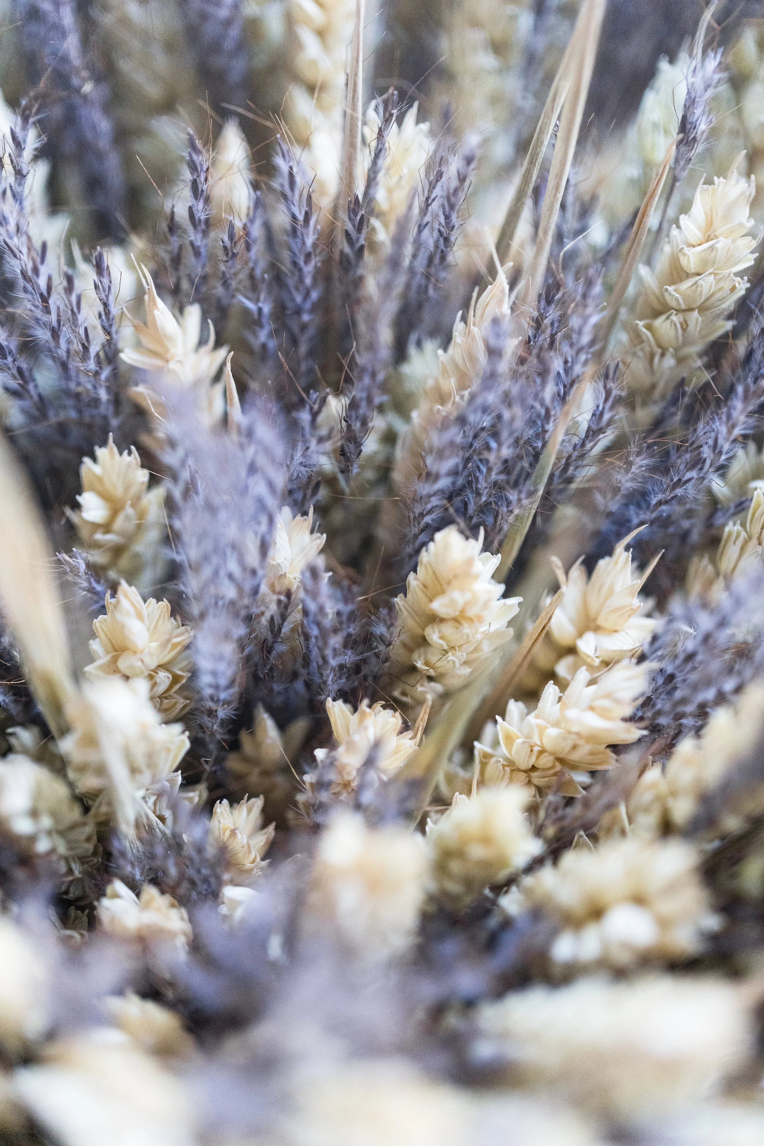 Gros plan sur un bouquet de fleurs fraîches aux couleurs pastels et textures variées