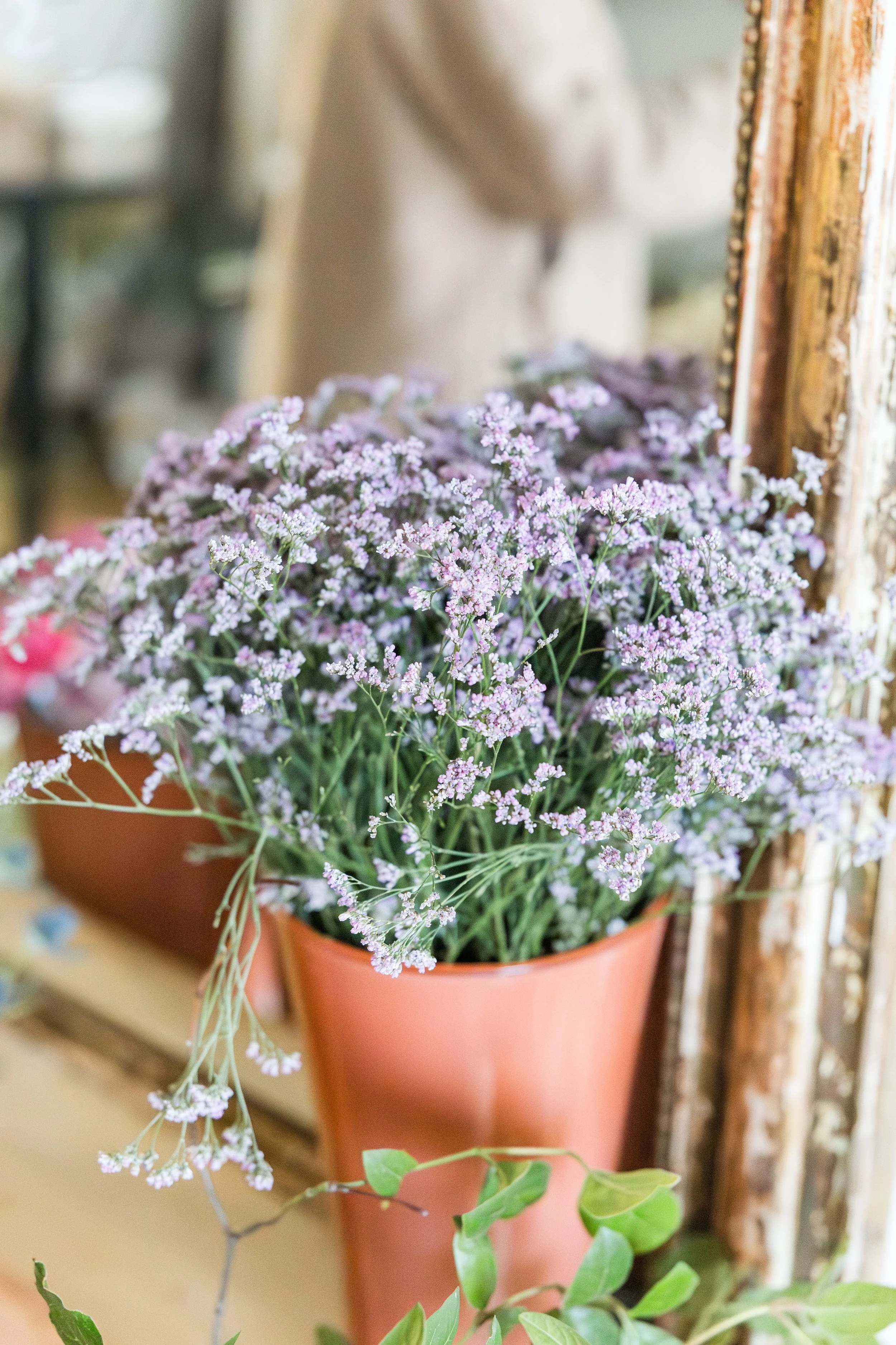 TiaraComteAimeRecevoir - Audrey Photography-36.jpg