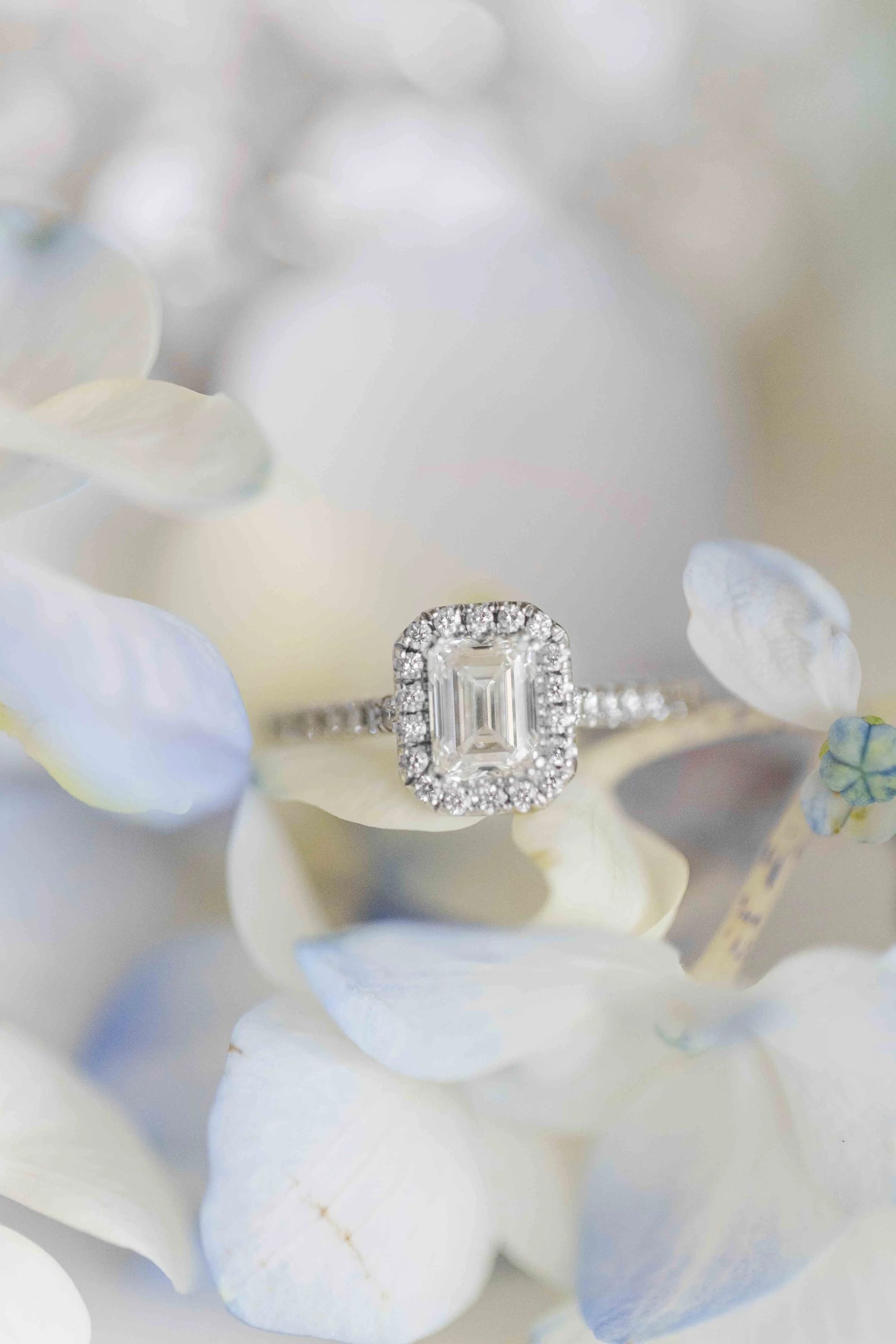 Gros plan poétique sur une bague de fiançailles en diamant taille émeraude délicatement posée au cœur de pétales d'hortensias bleus et blancs.