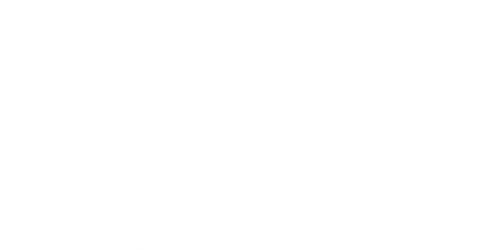 Outline drawing of a dog and a cat sitting side by side.