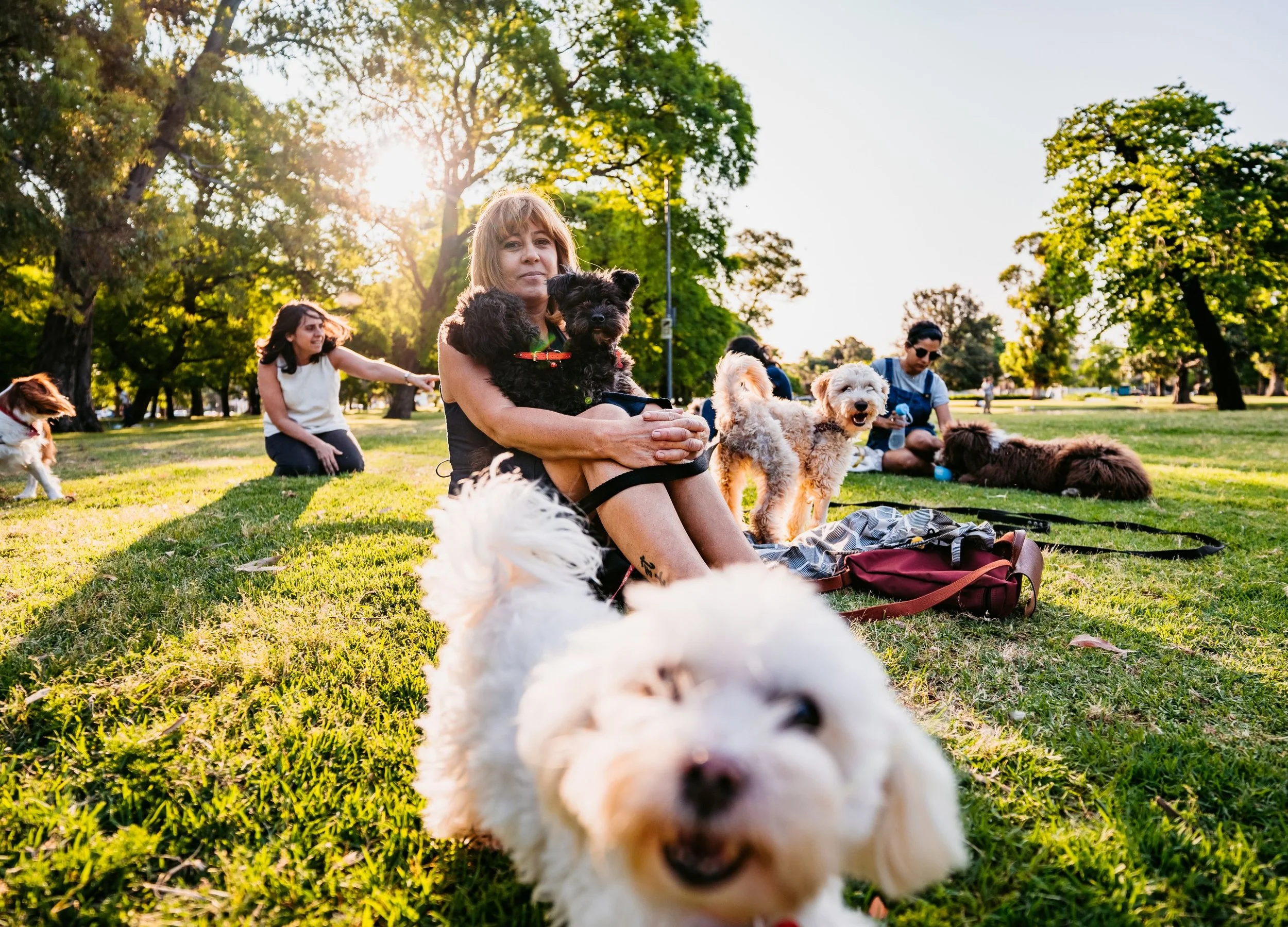 A woman in a park with dogs and two people from her trusted pet-care network.