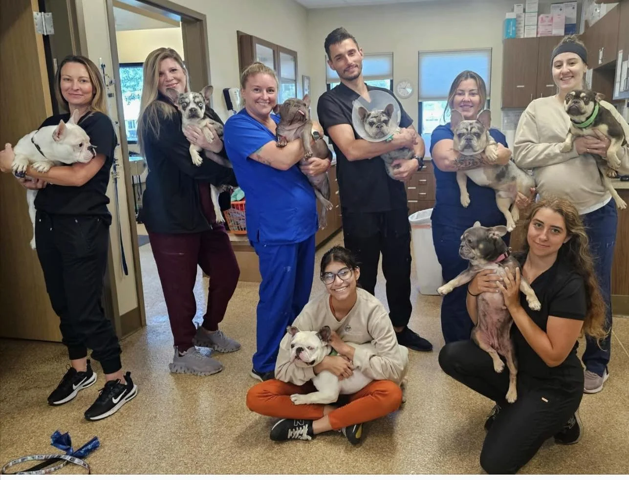 General 2 — Space Coast Frenchie Rescue