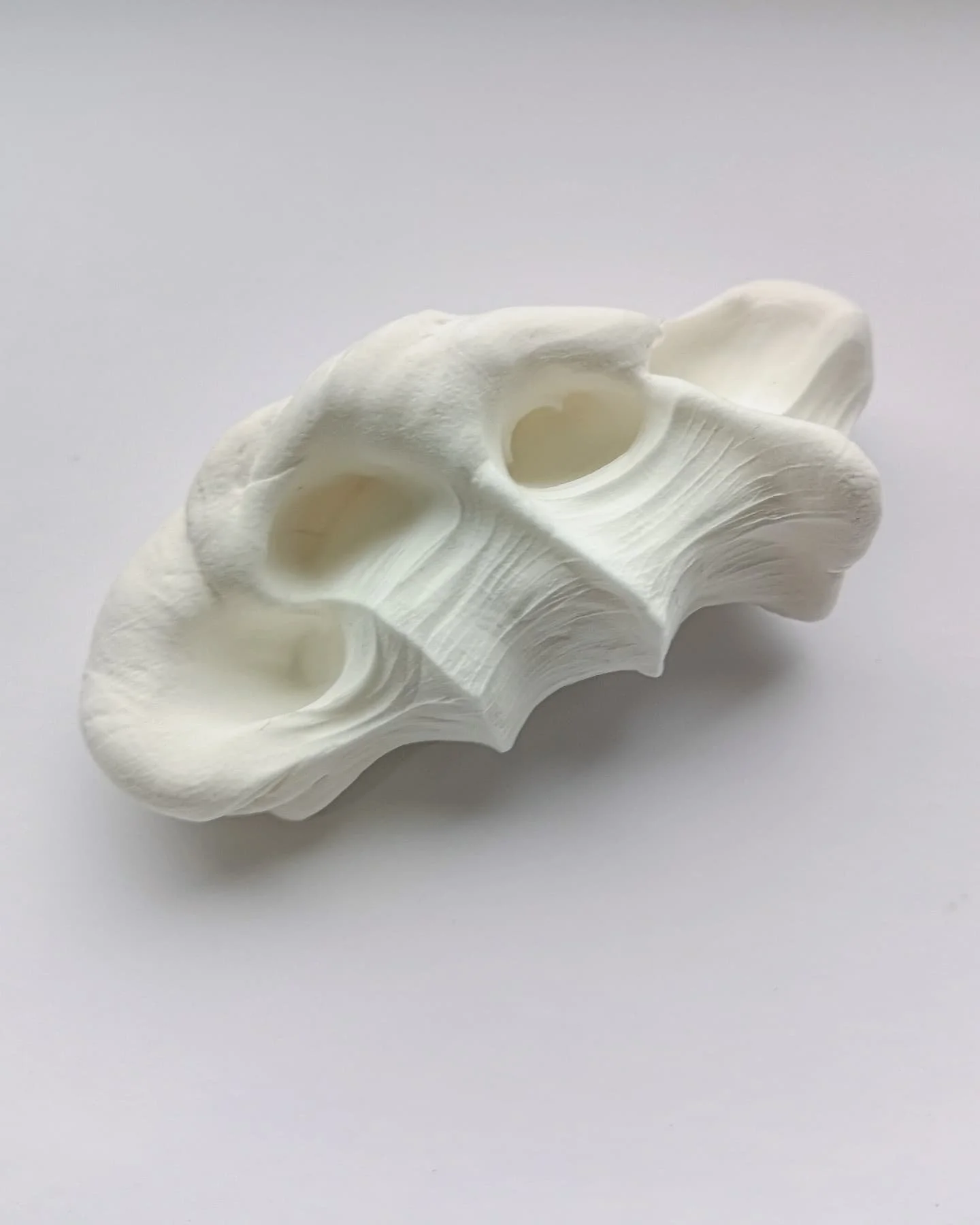 A body under stress 

#materialexploration #materialexperiments #experimentaldrawing #tension #stress #pressure #wip #sculpture #body #artasprocess #artiststudio #art #outerspacesscotland