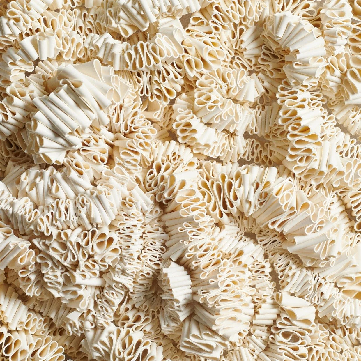 Winter has been a little slow as the water has not been on in my studio, but I have been working on some new things from home and I am excited to share them with you soon!

I have not, one, but, TWO exhibitions coming up. So keep your eyes peeled for