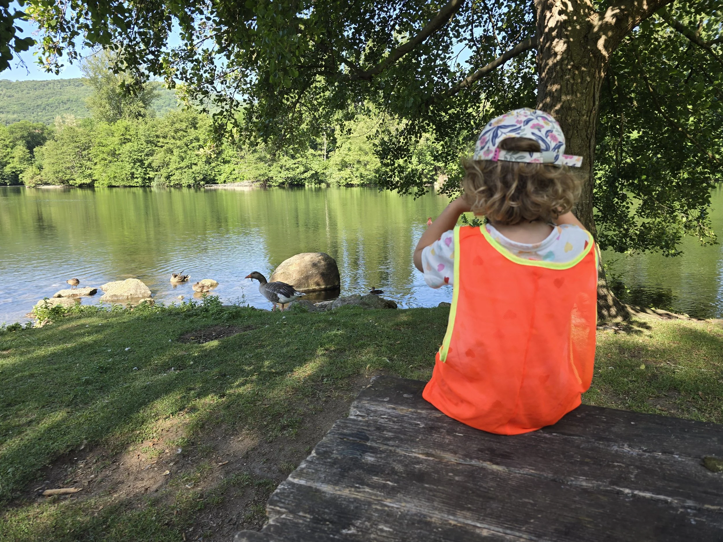Une jeune enfant regardant un lac entouré d'arbres avec des canards et des oies, assise sur une table de pique-nique en bois sous un grand arbre en pleine nature.Elle observe avec des jumelle et porte casquette et dossard pour cette sortie scolaire.