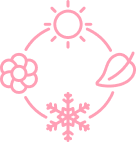 Icône rose avec symbole de cycle, incluant un soleil, un cluster de fleurs, une feuille, et un flocon de neige.