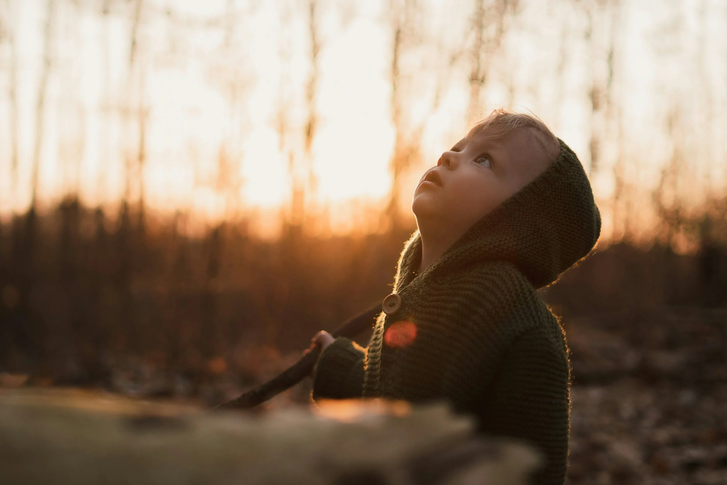 Un petit garçon habillé avec un pull en laine à capuche observe la forêt en automne. Il relèv la tête, tout curieux. En arrière plan, on voit les arbres sans feuilles et les lueurs matinales - heure dorée. Photo de Getty Images sur Unsplash.