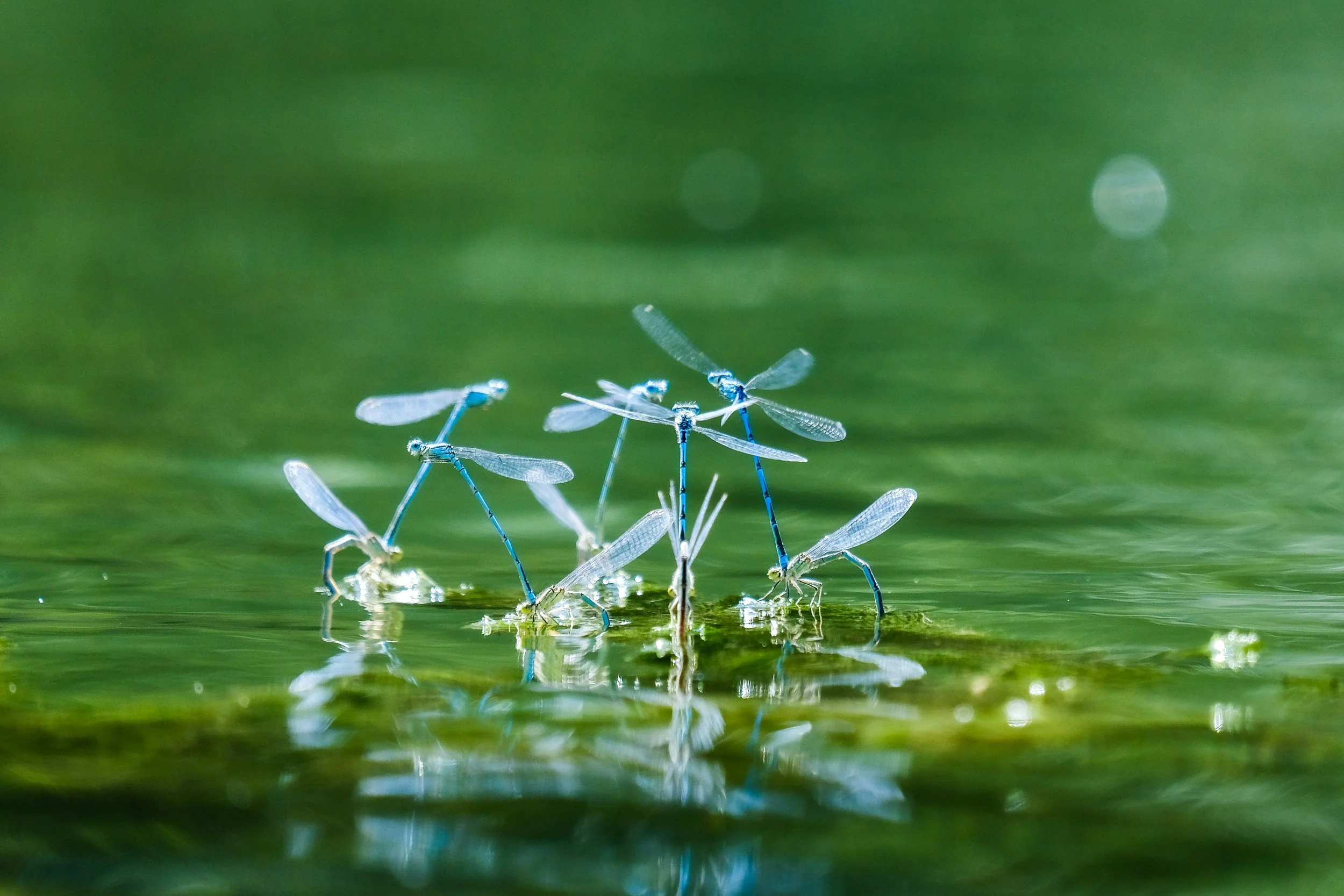 Photo de Clément Falizesur Unsplash.jpg
