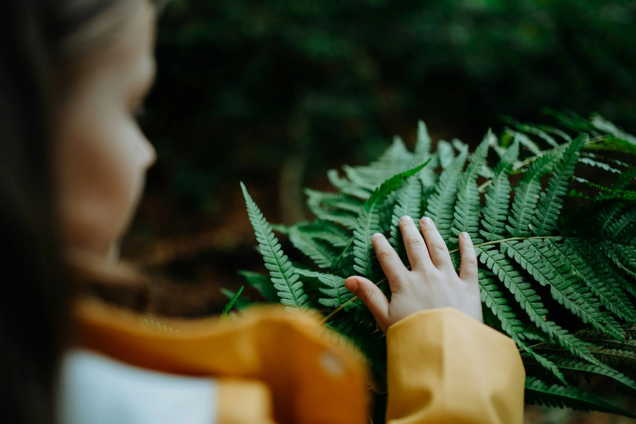 Une enfant touche de sa main droite des plantes nommées fougères. Son mouvement semble doux et respectueux de la nature. Elle porte un ciré orange et blanc. L'enfant a environ 10 ans. Le fond de l'image est noir.